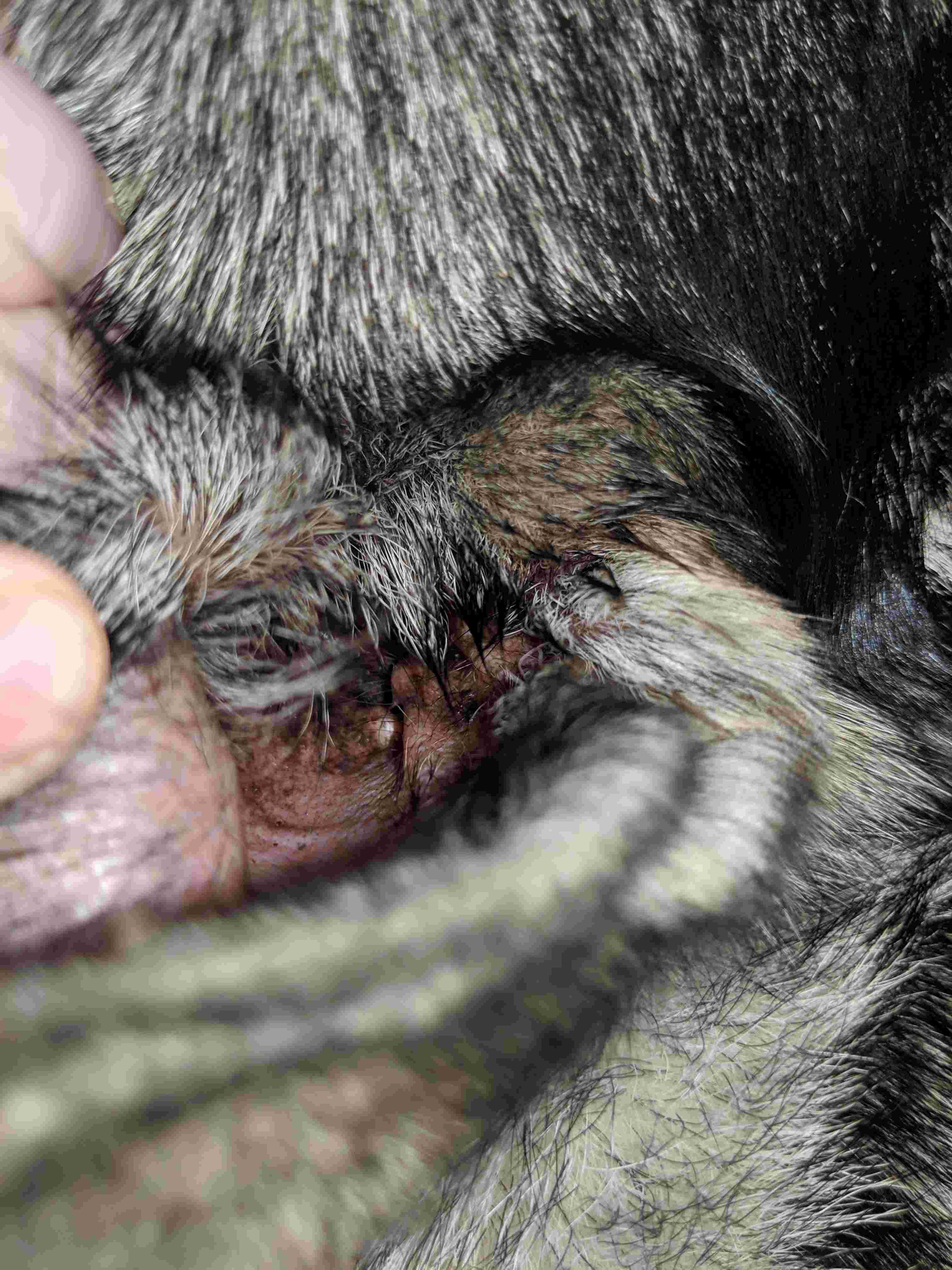 Question details sensitive content