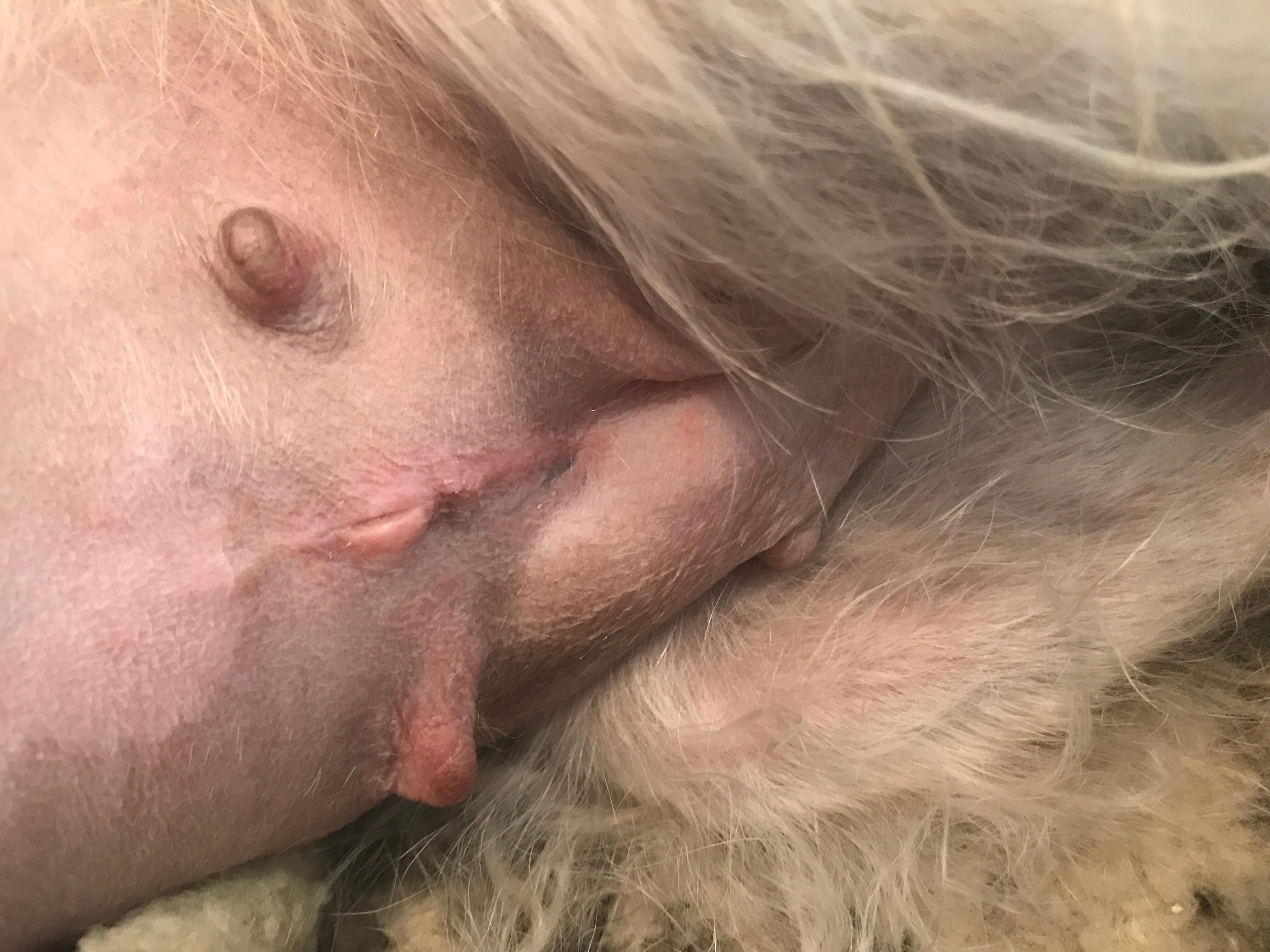 Question details sensitive content