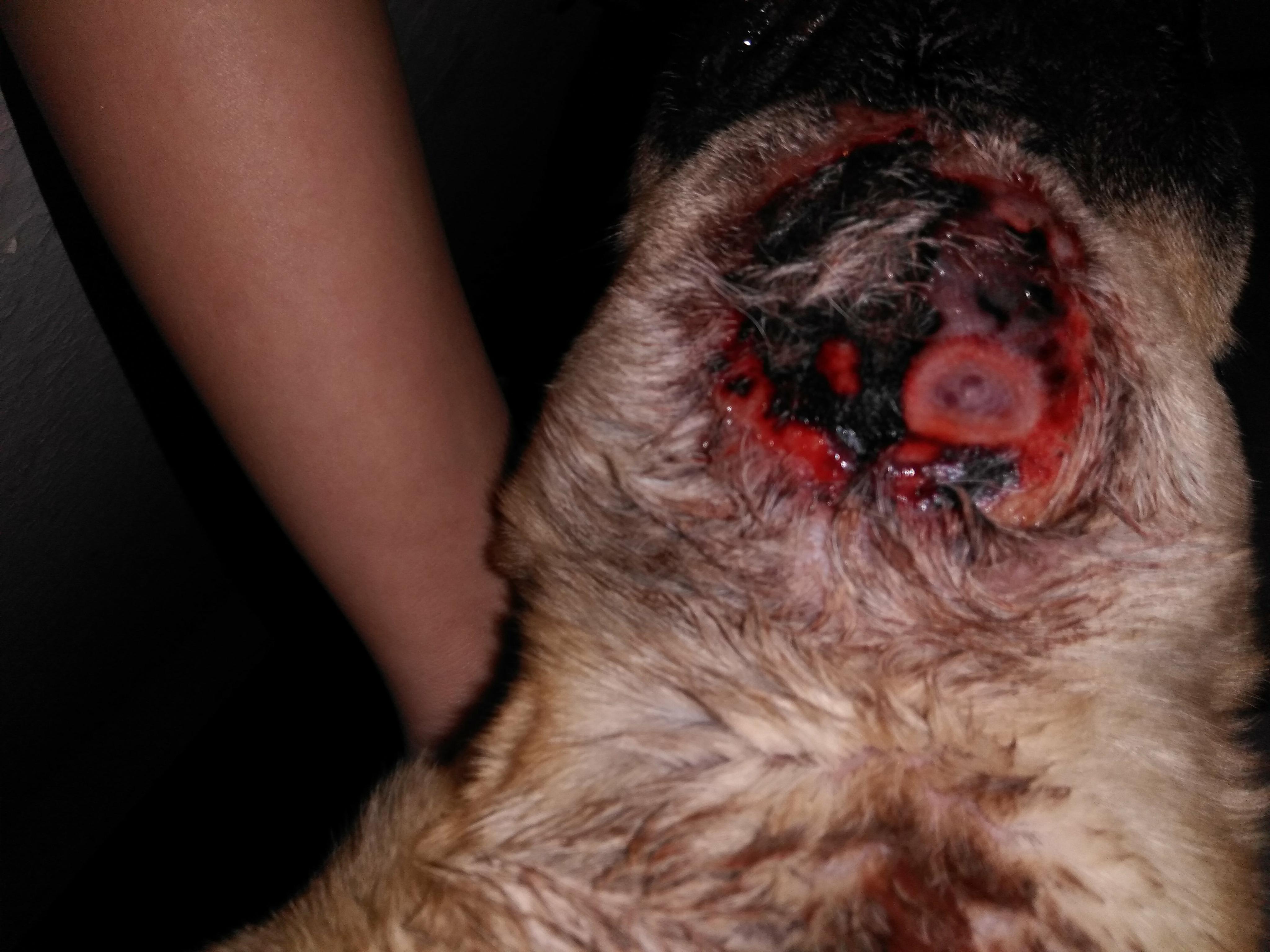 Question details sensitive content