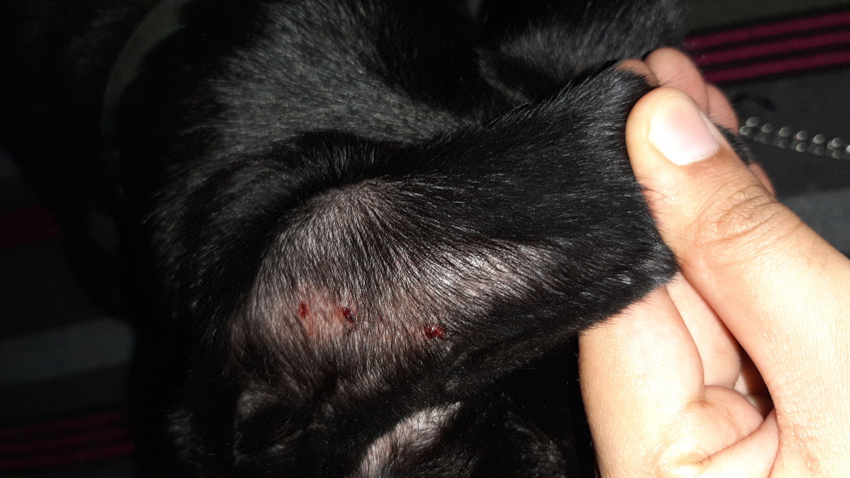 Question details sensitive content