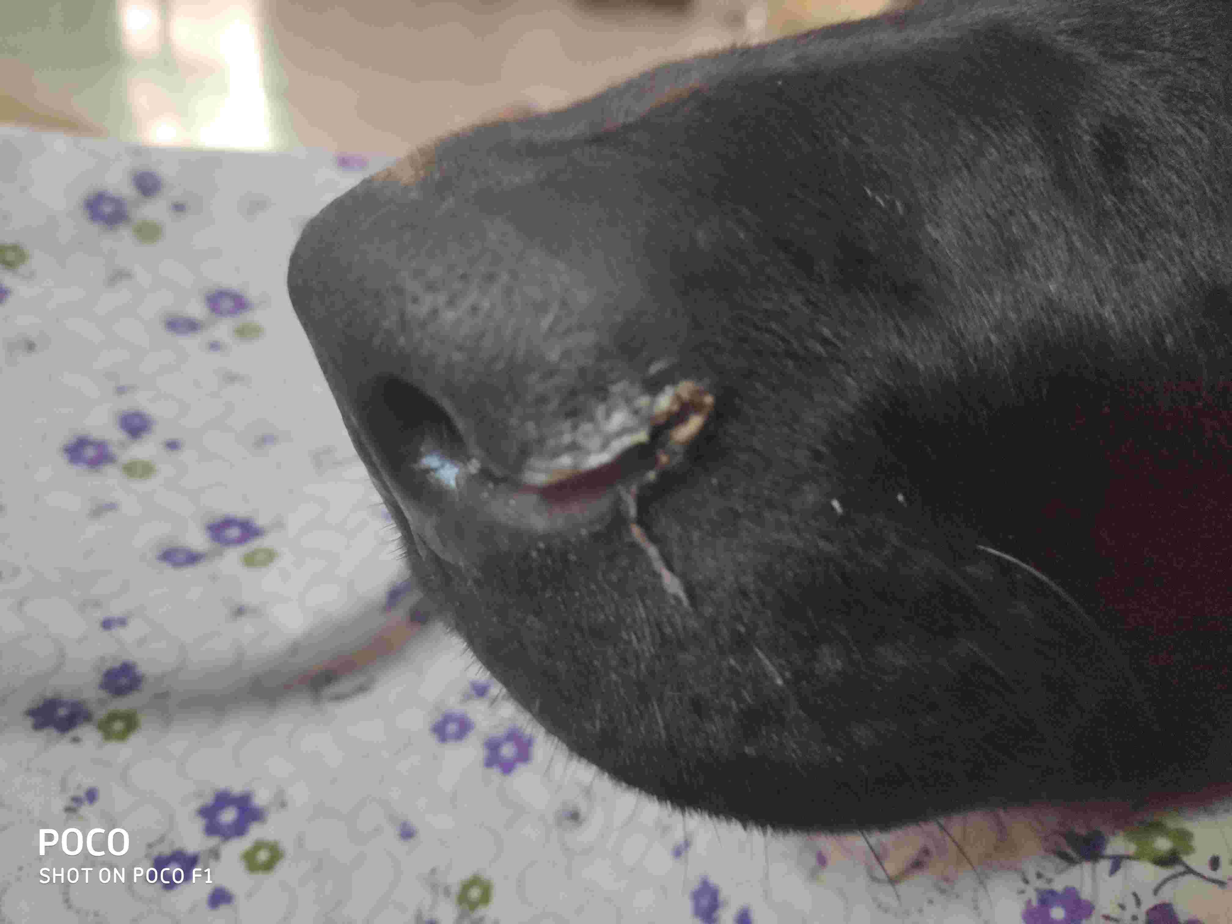 Question details sensitive content