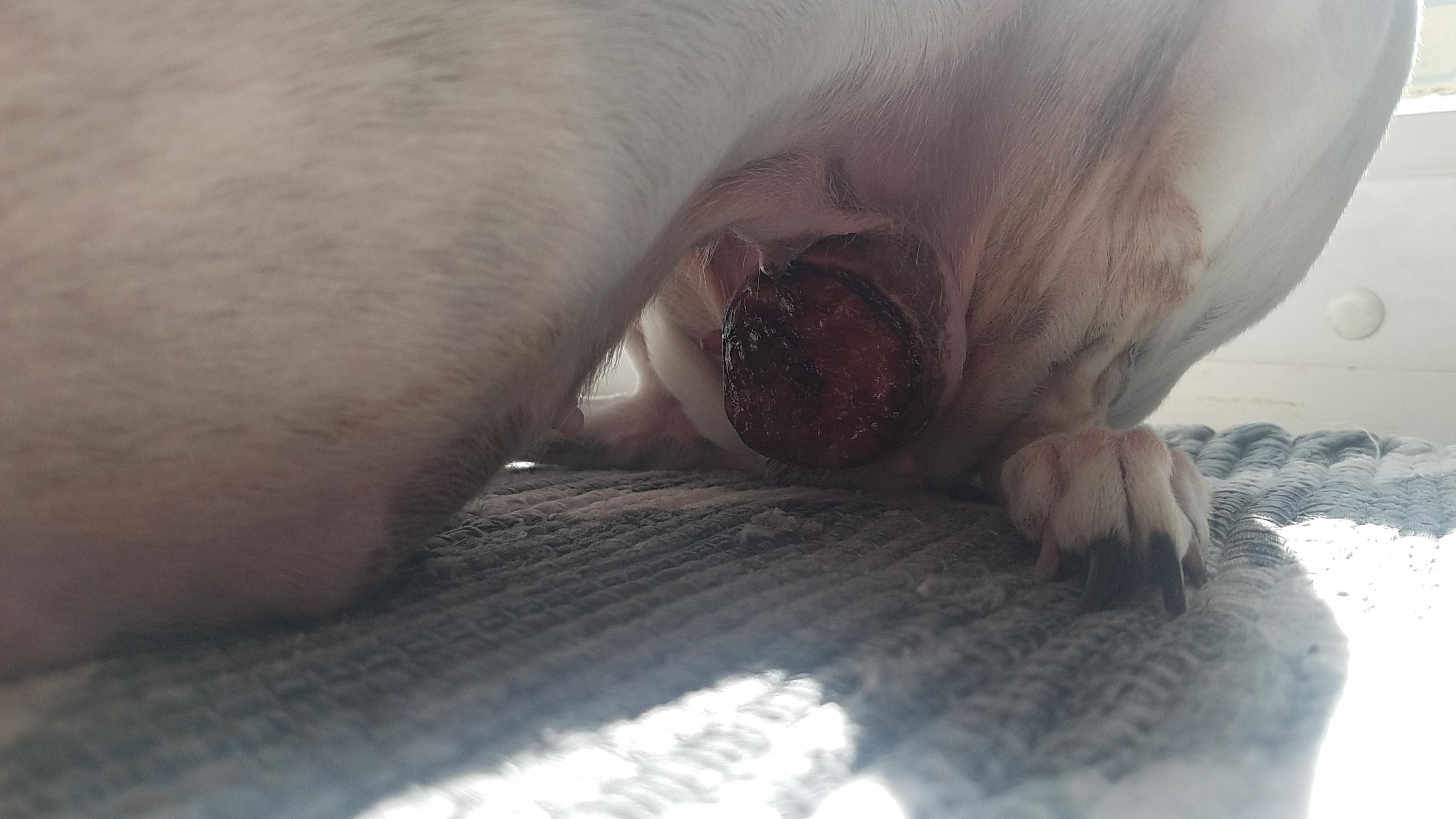 Question details sensitive content