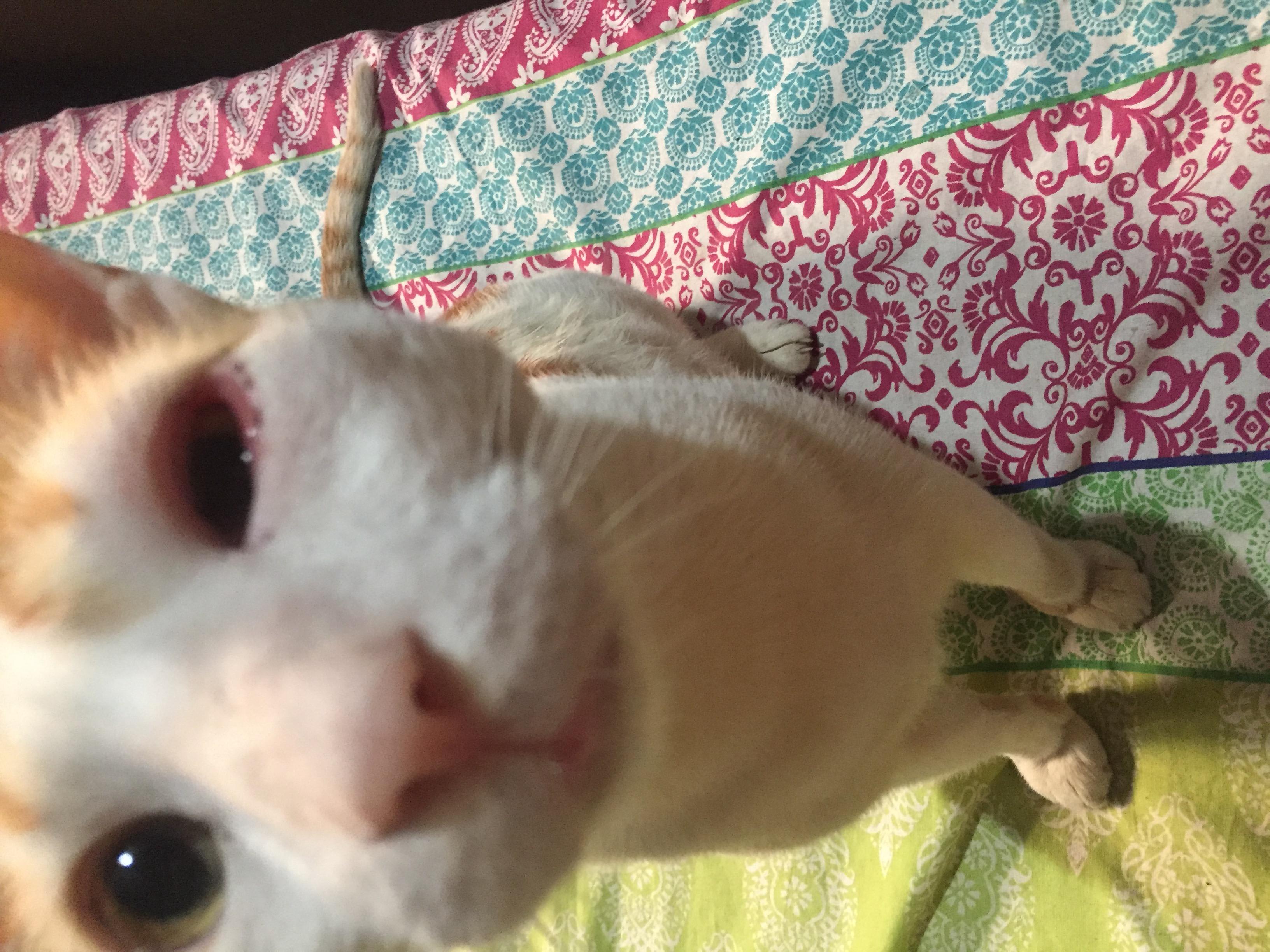 Question details sensitive content