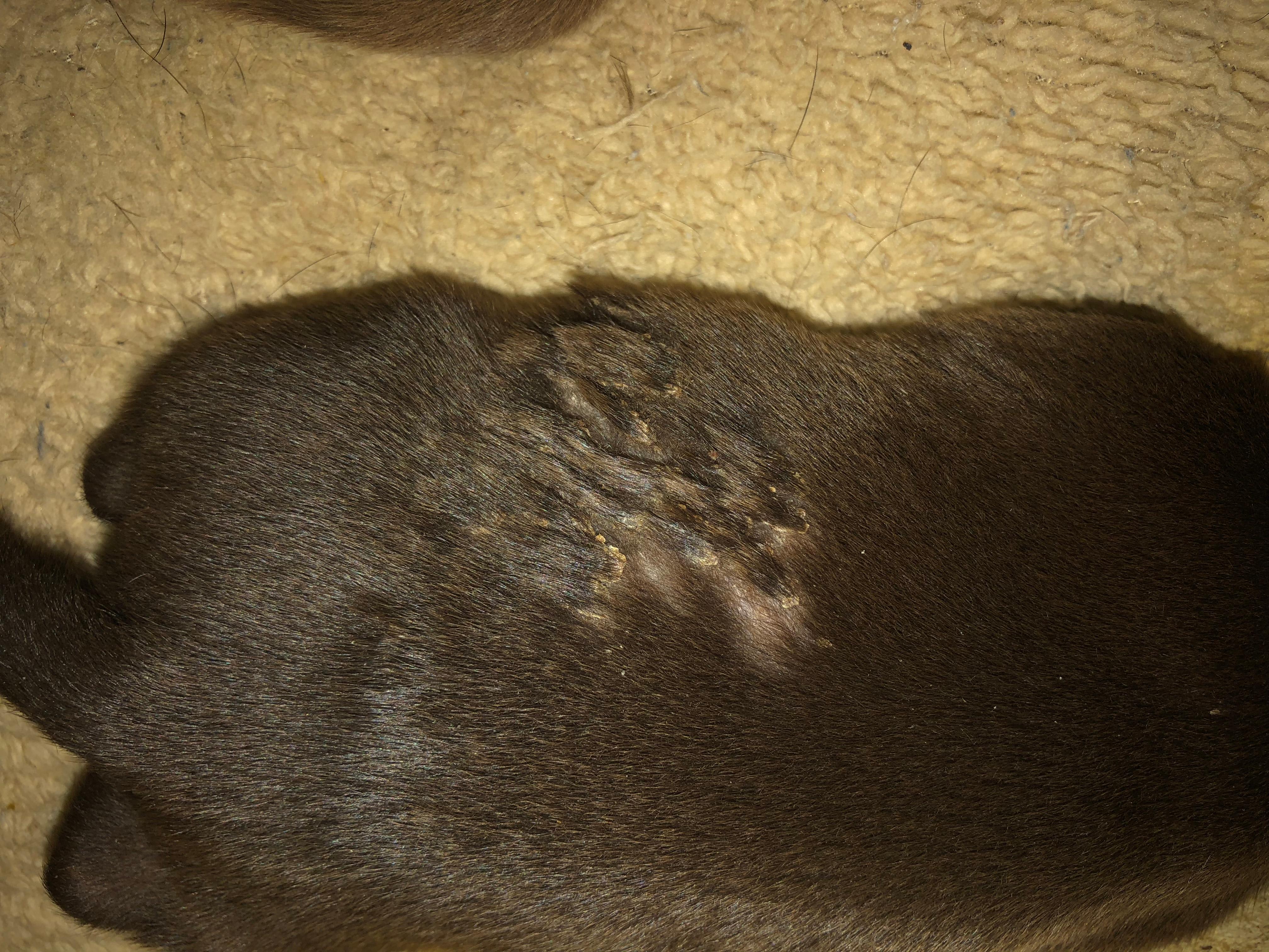 Question details sensitive content