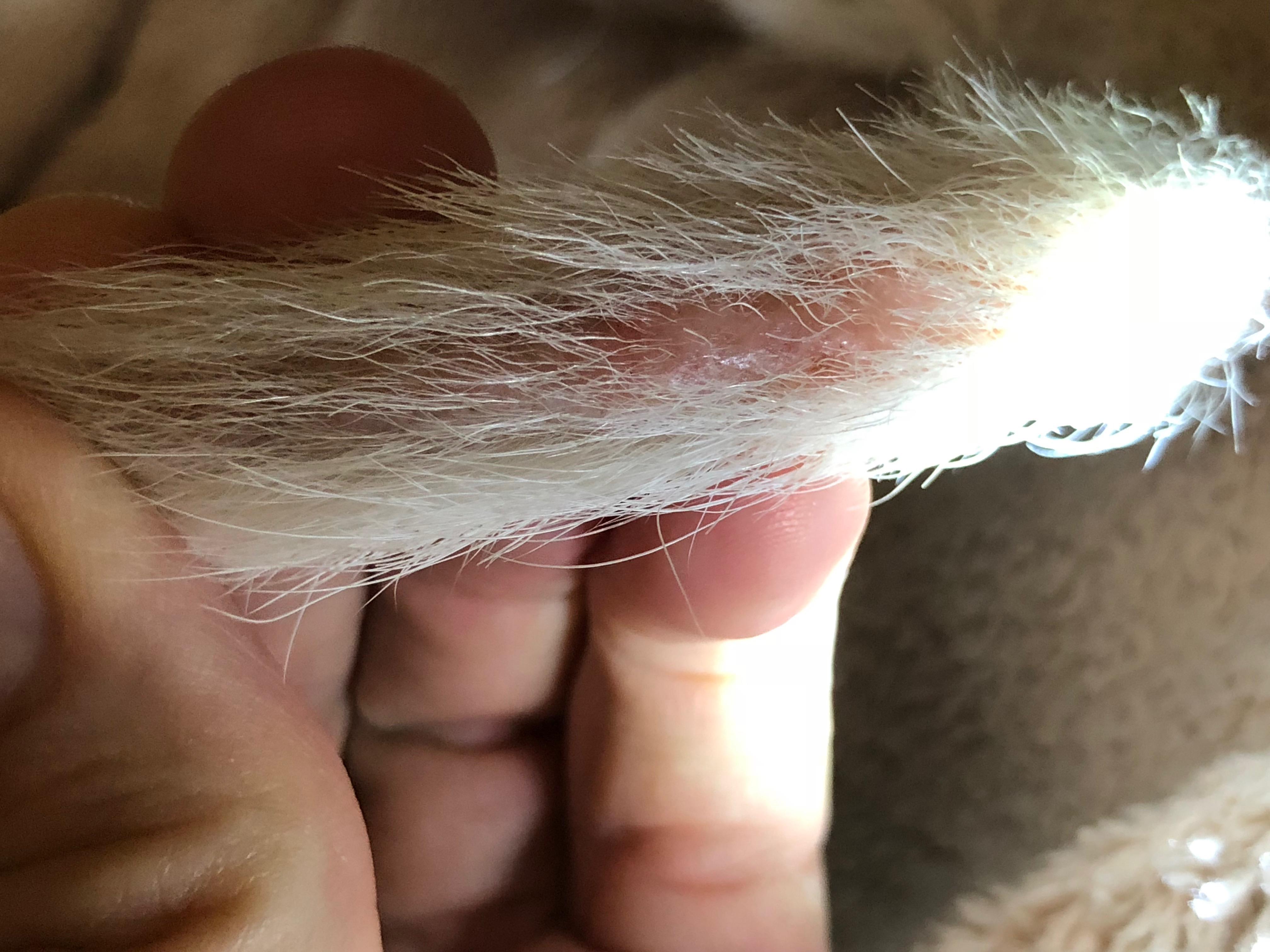 Question details sensitive content