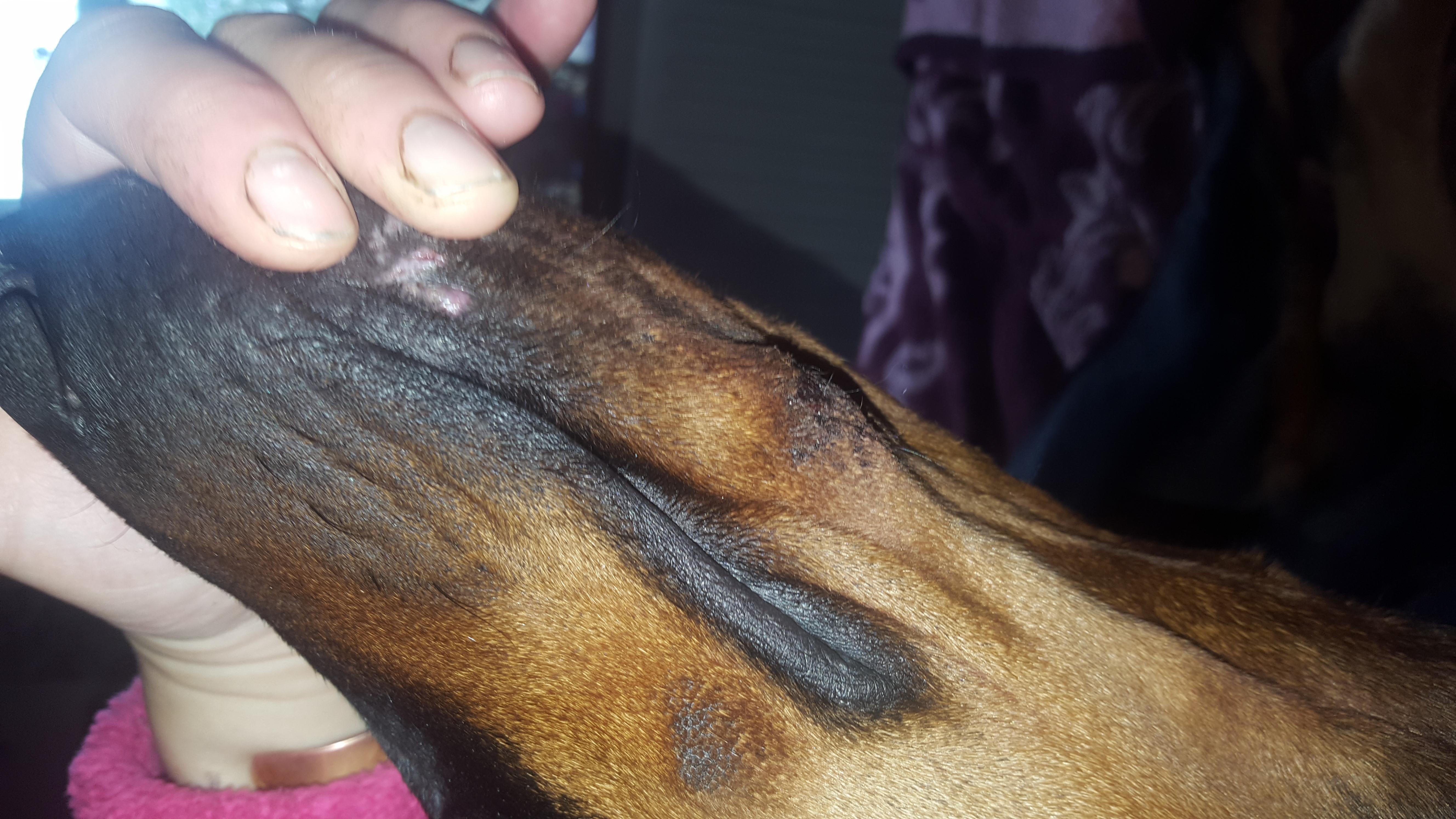 Question details sensitive content