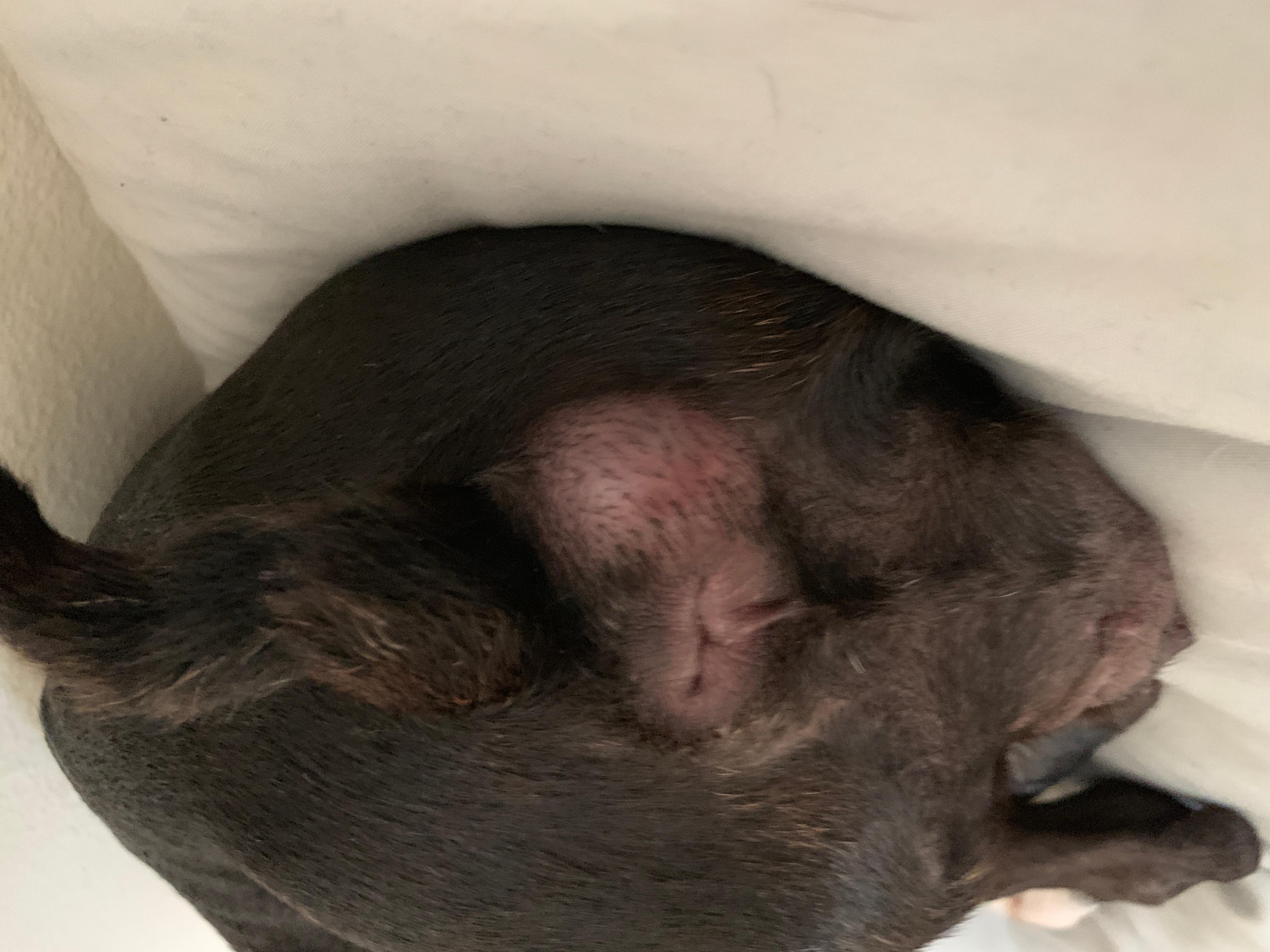 Question details sensitive content