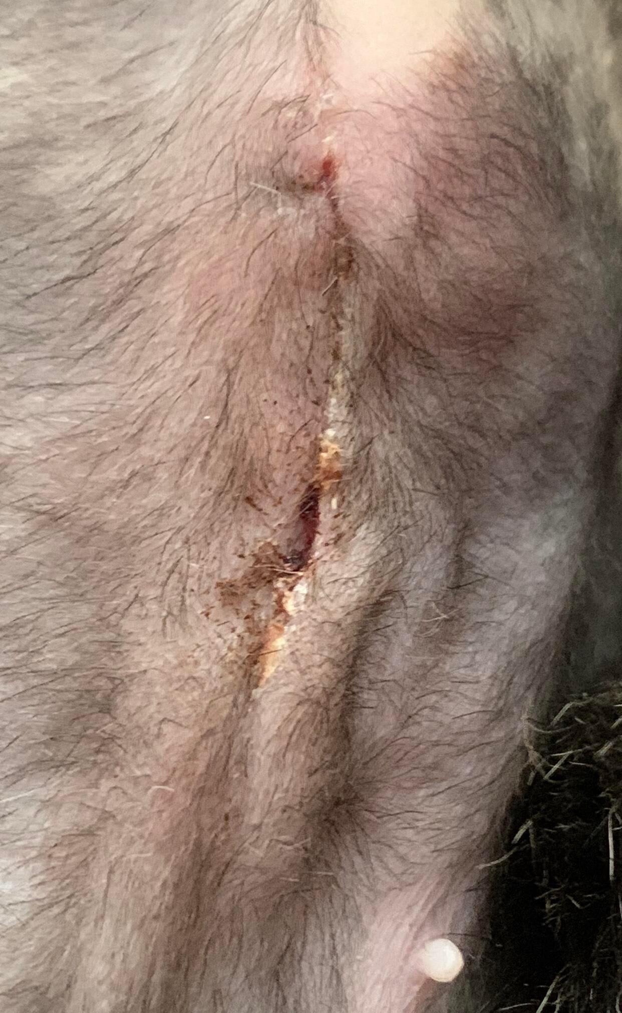 Question details sensitive content