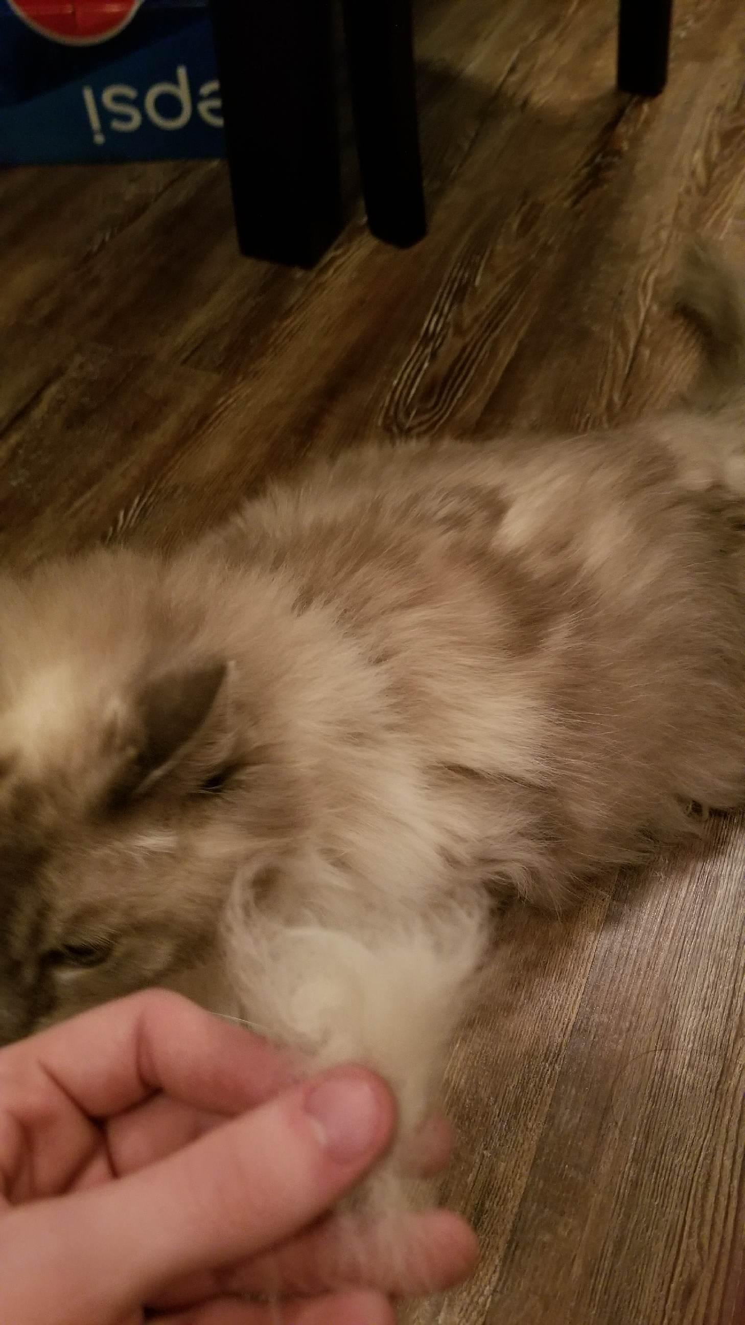 Question details sensitive content