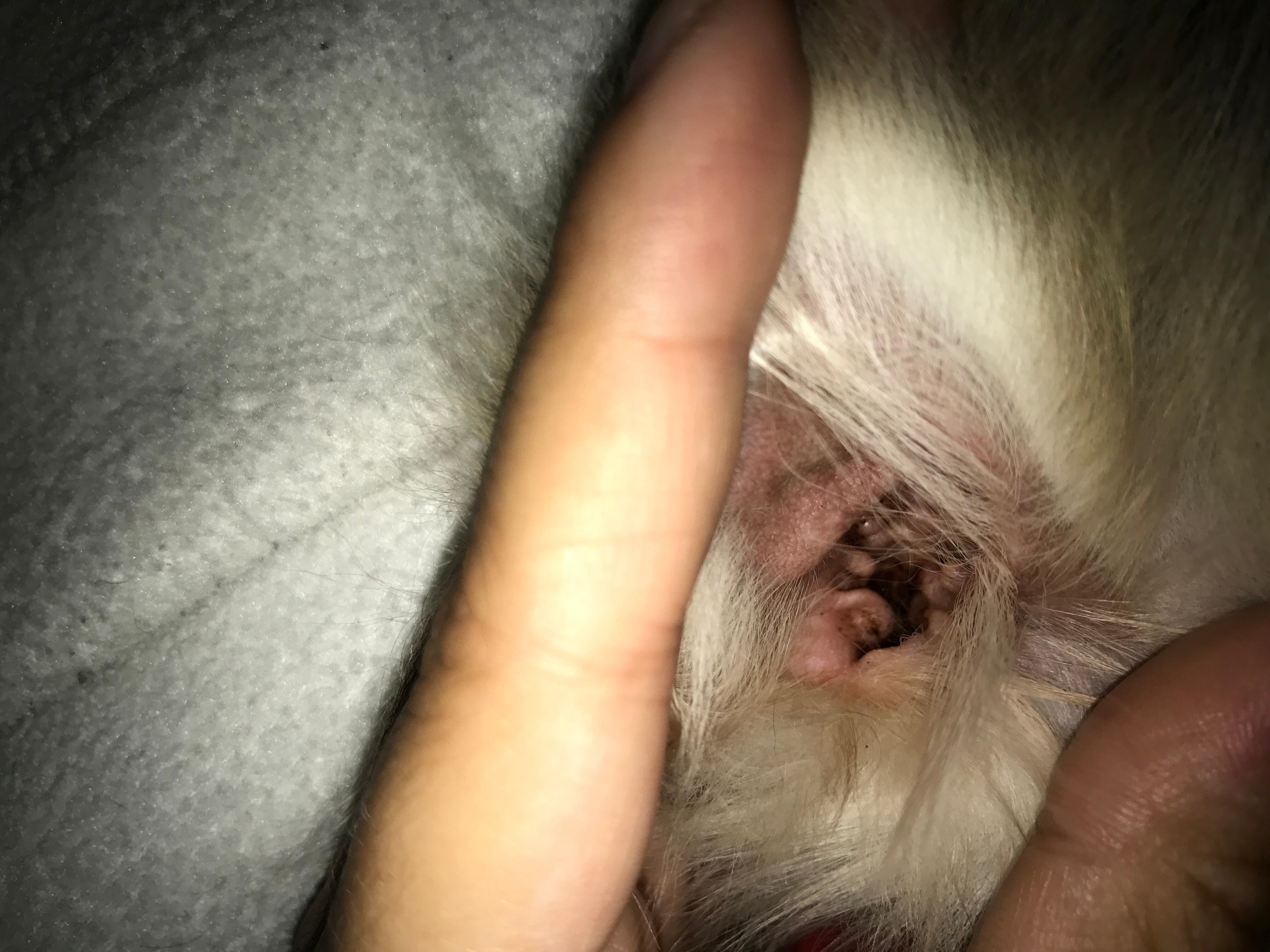 Question details sensitive content