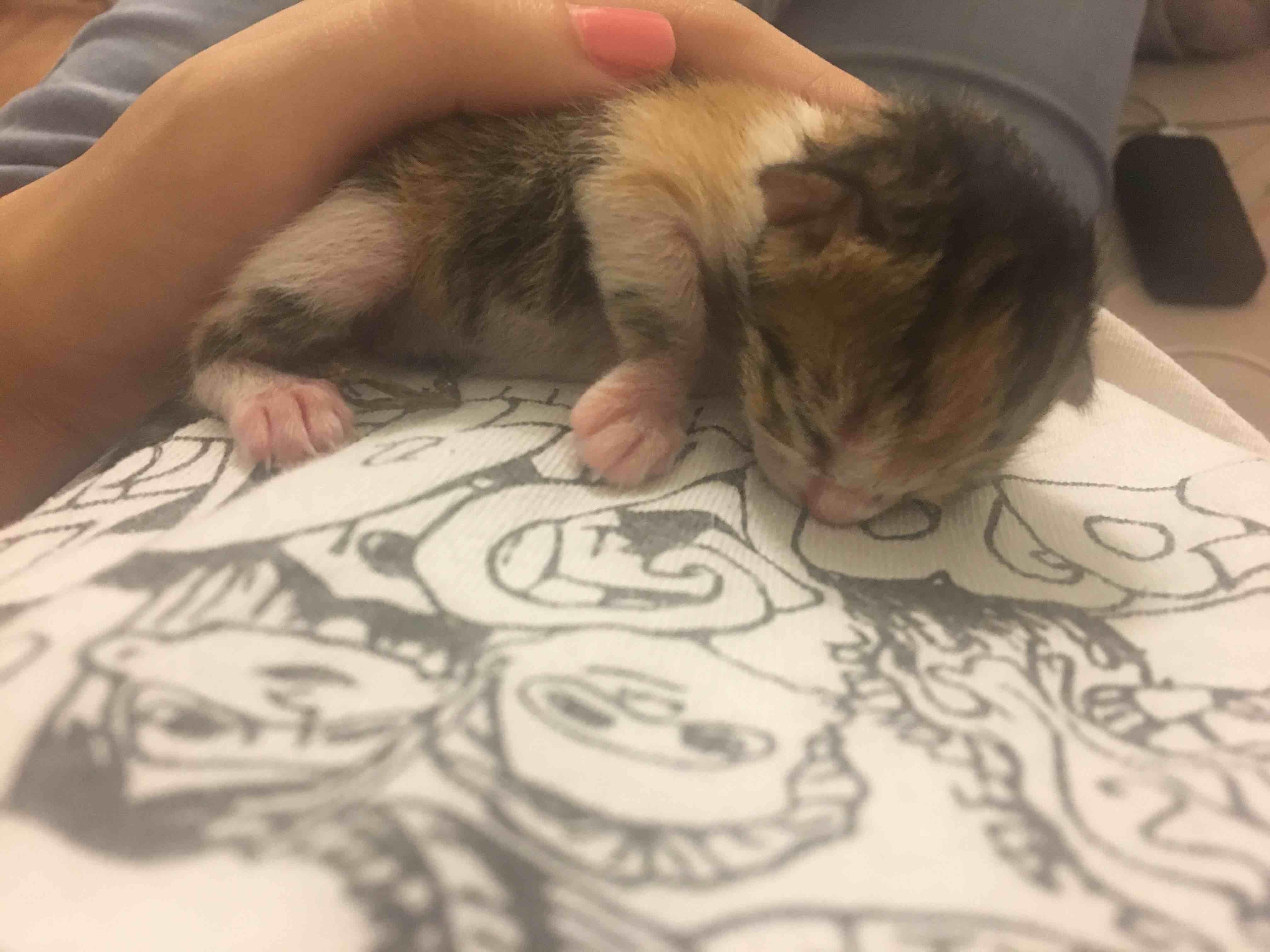 Question details sensitive content