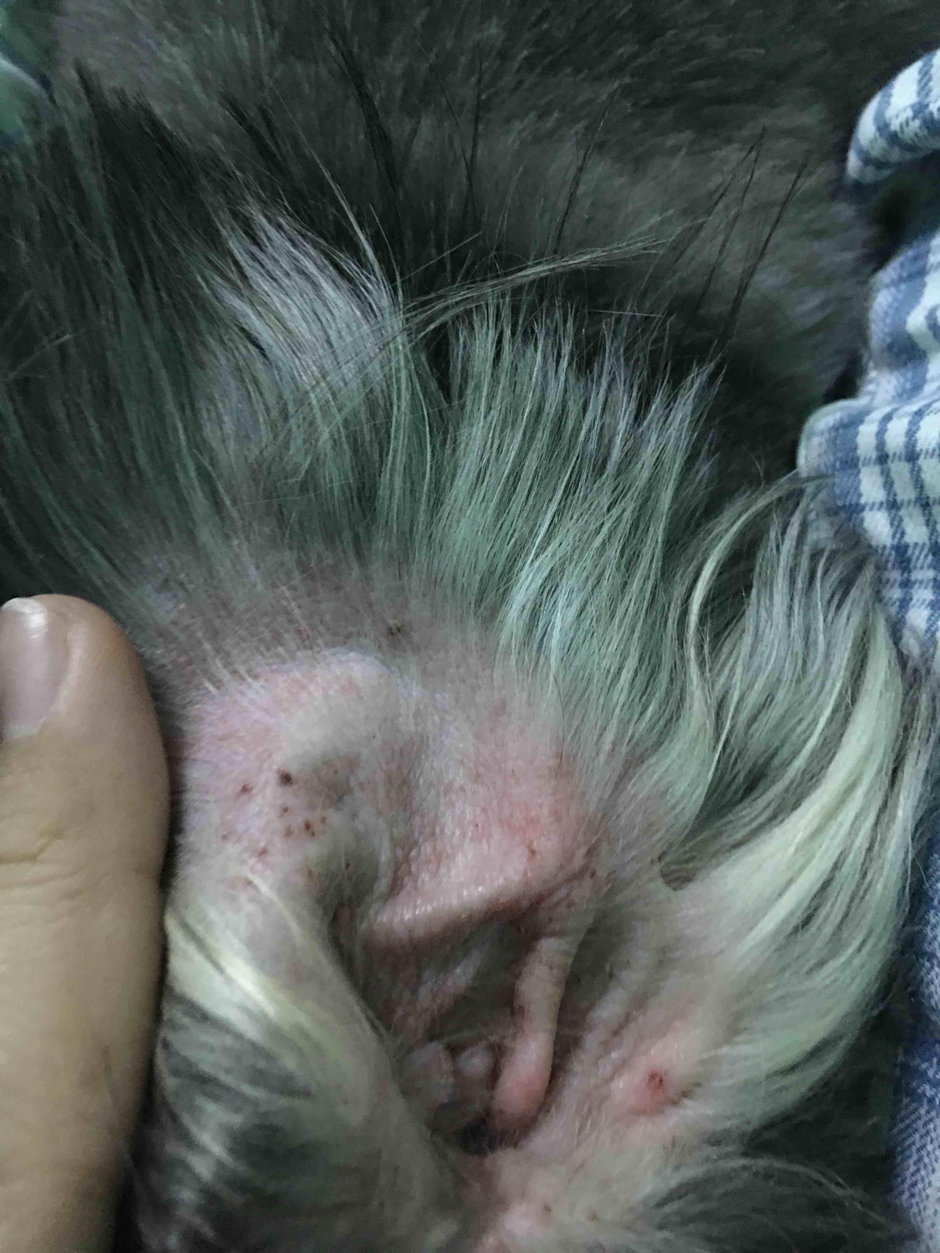 Question details sensitive content