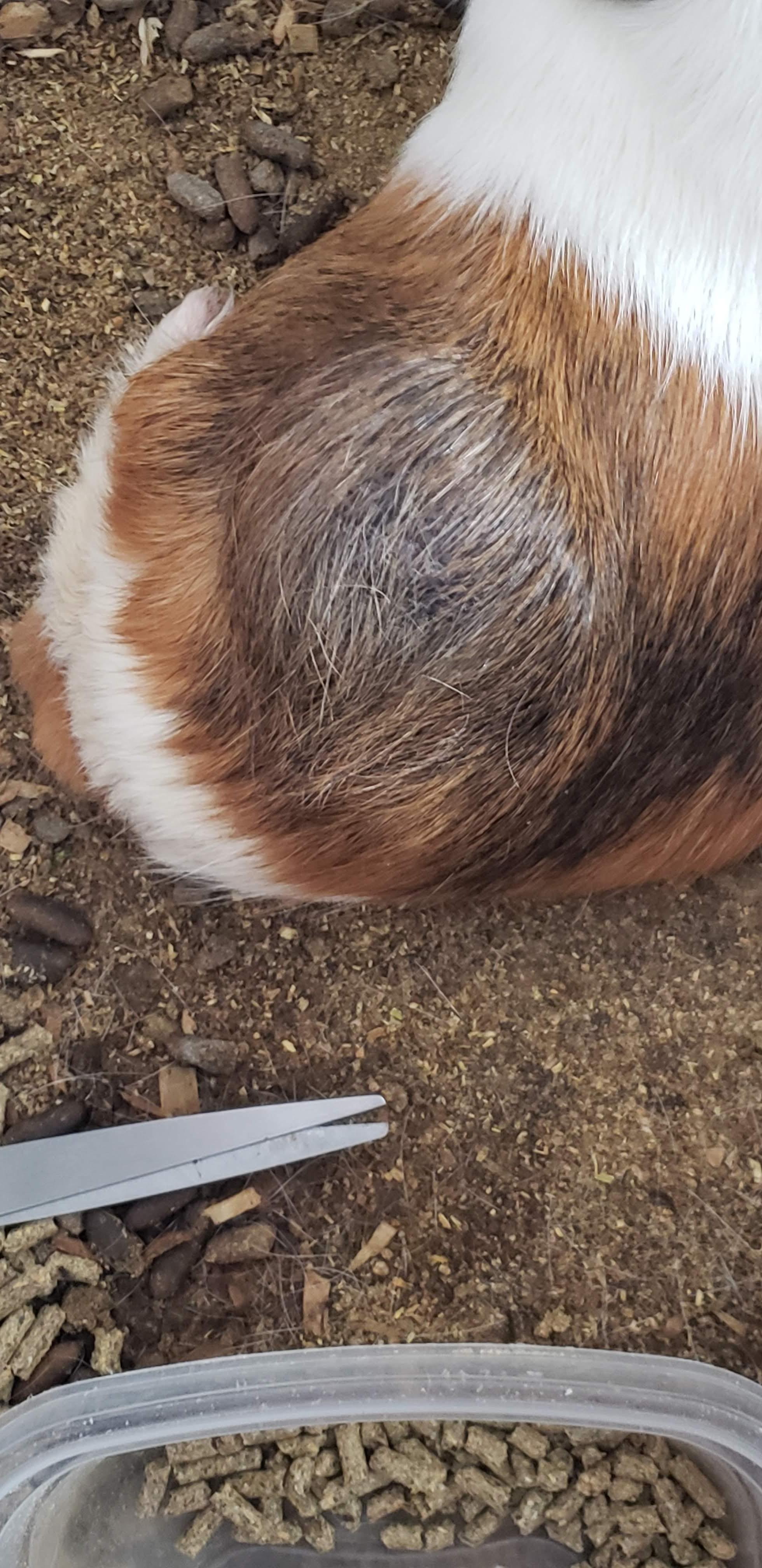 Question details sensitive content