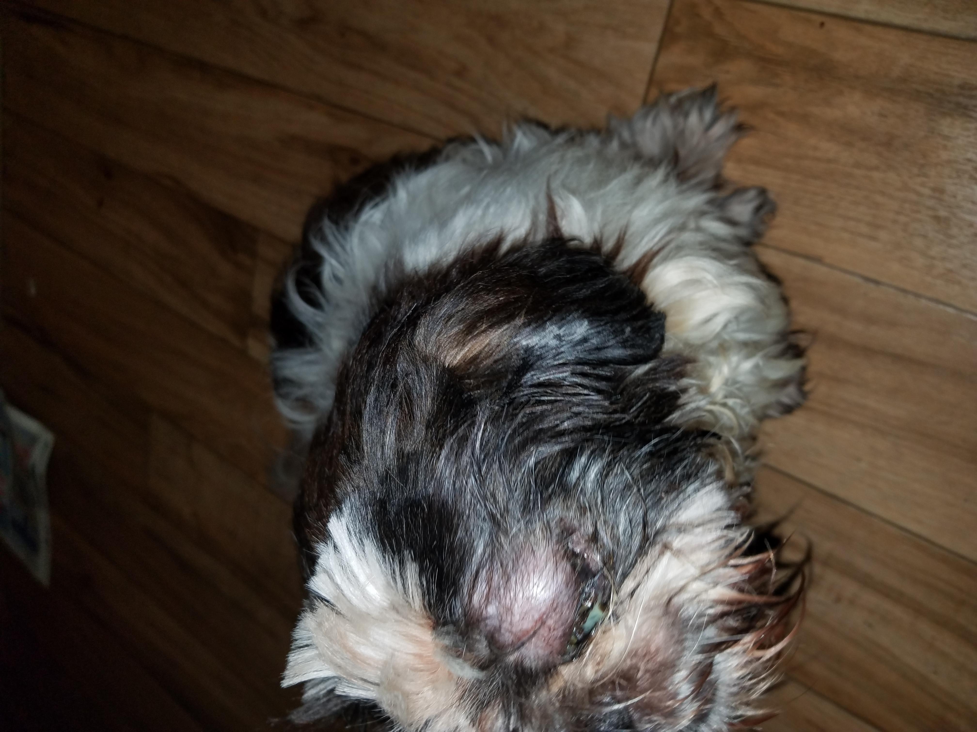 Question details sensitive content