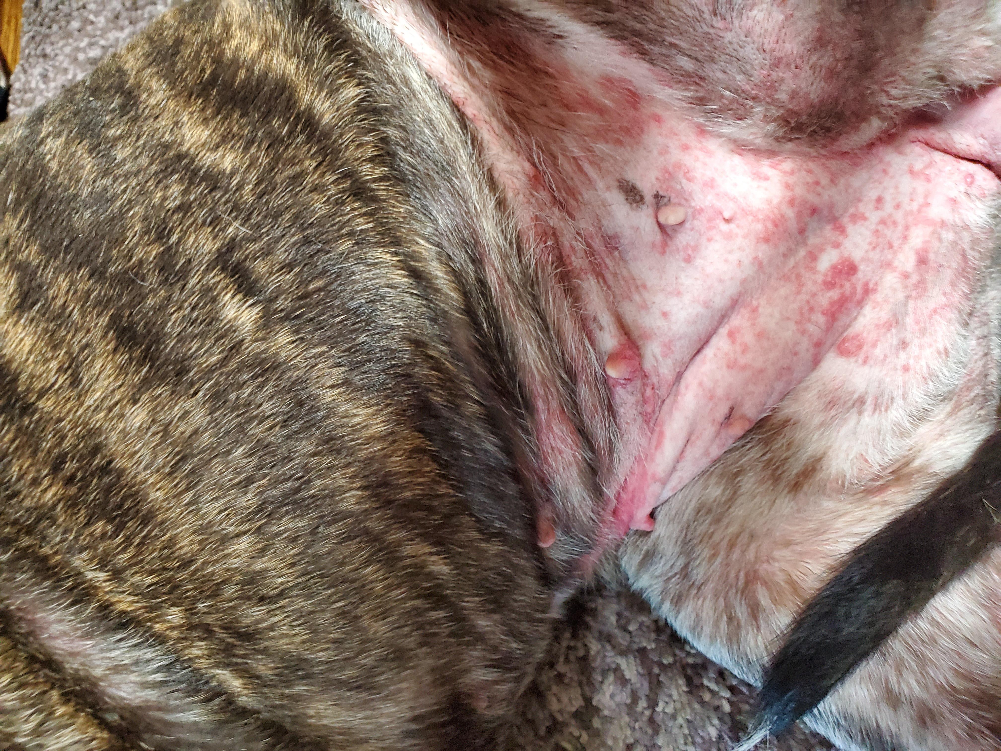 Question details sensitive content