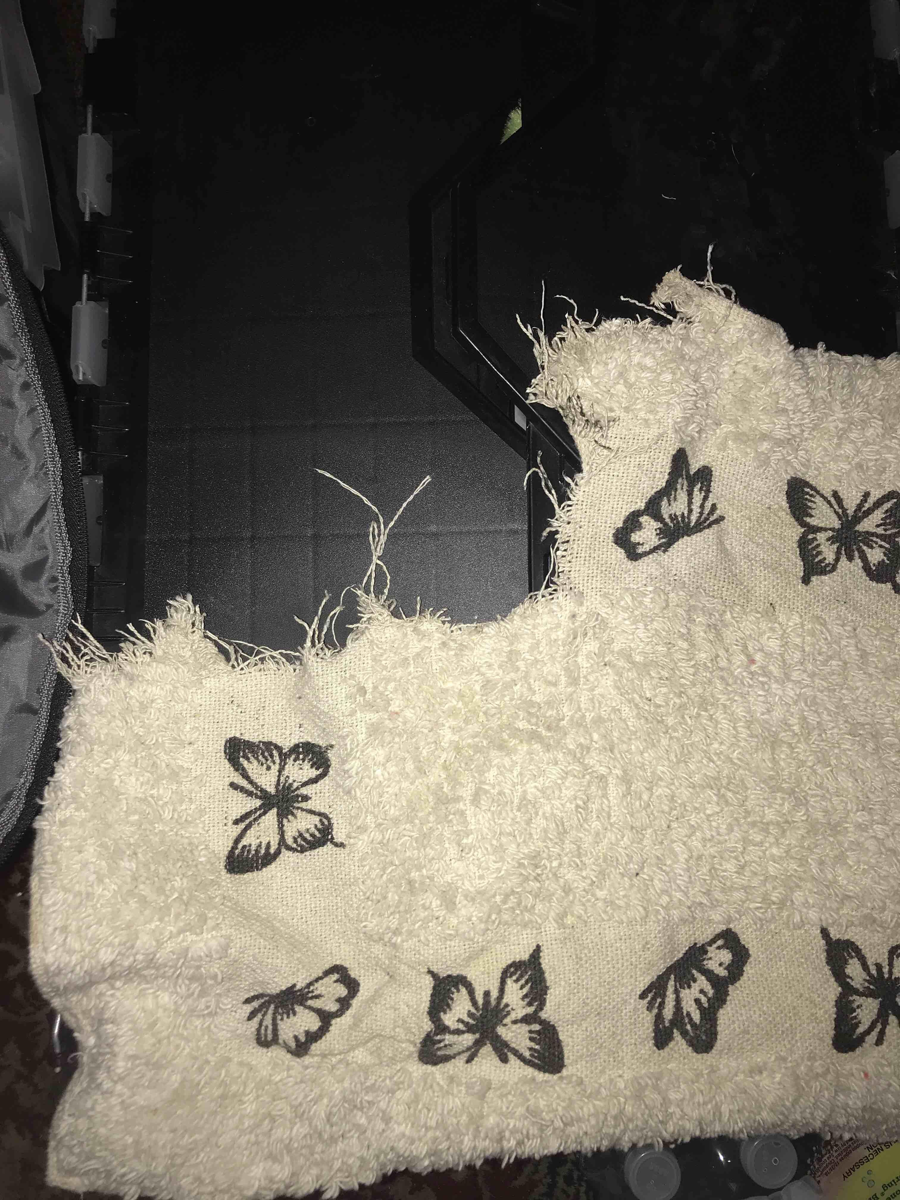 Question details sensitive content