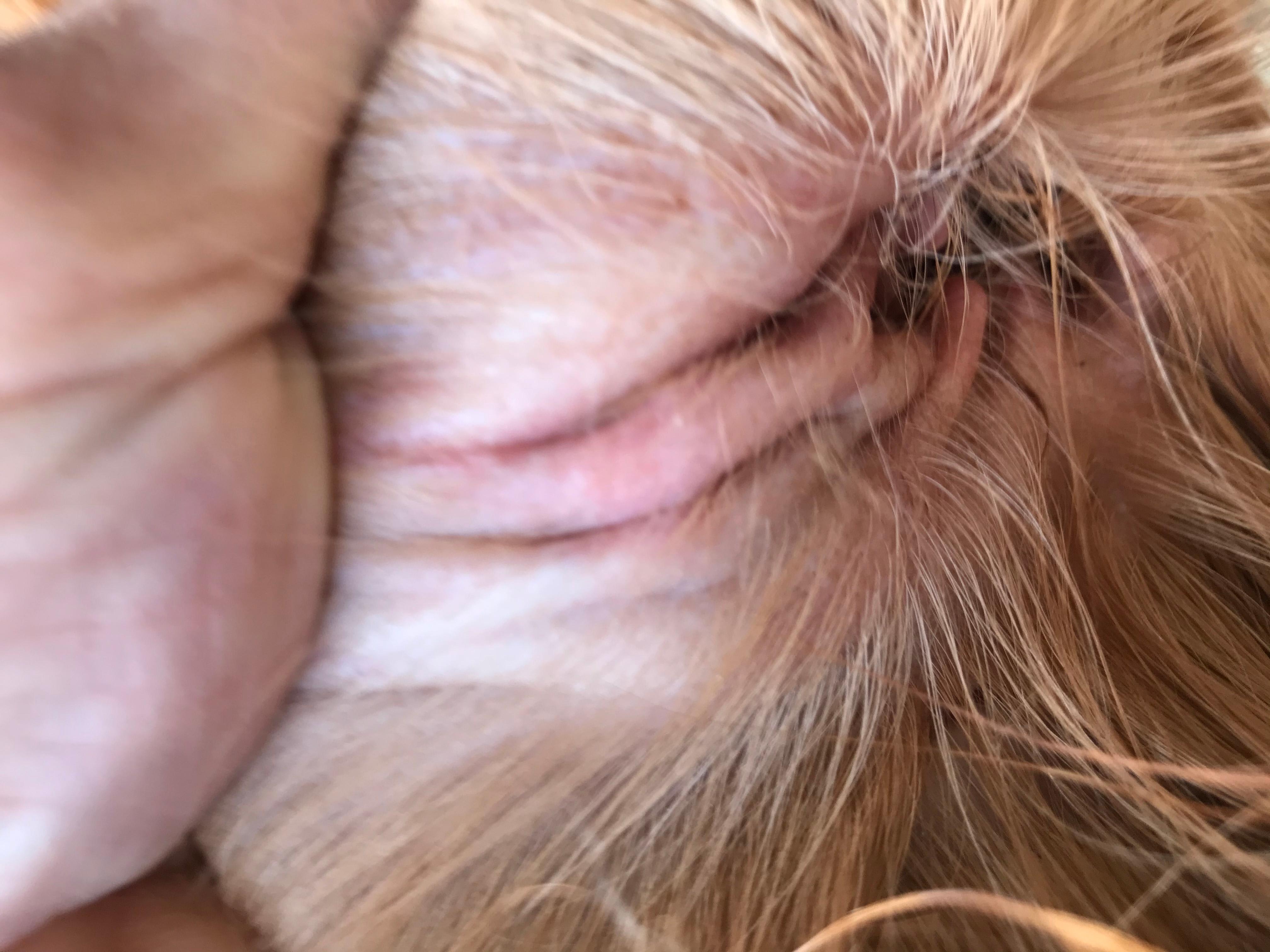 Question details sensitive content