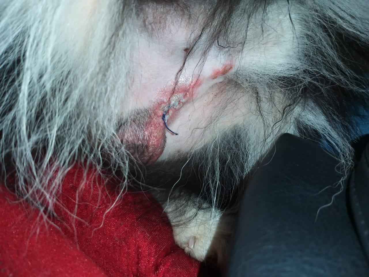 Question details sensitive content