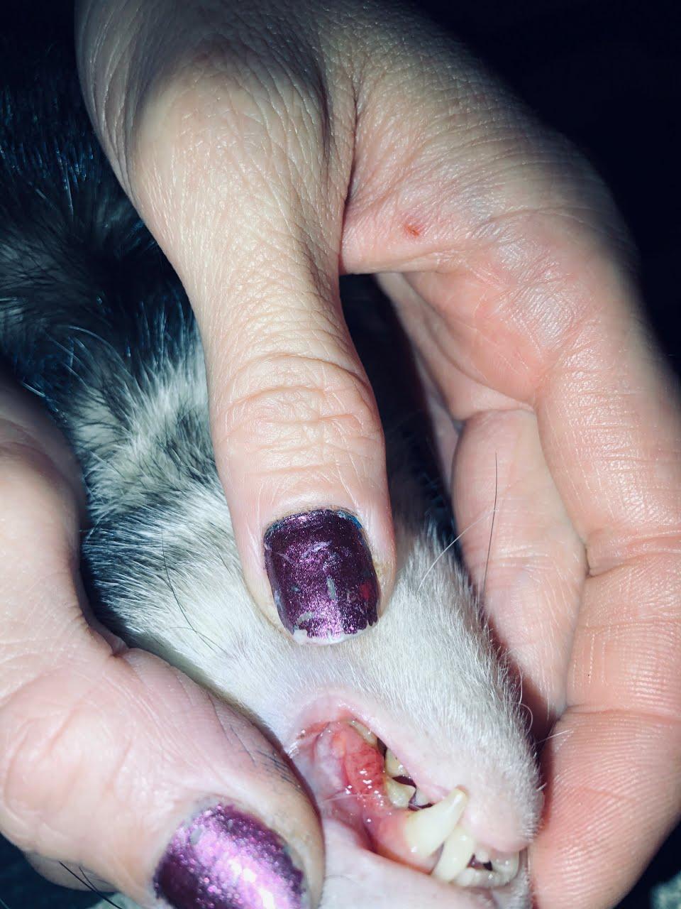 Question details sensitive content