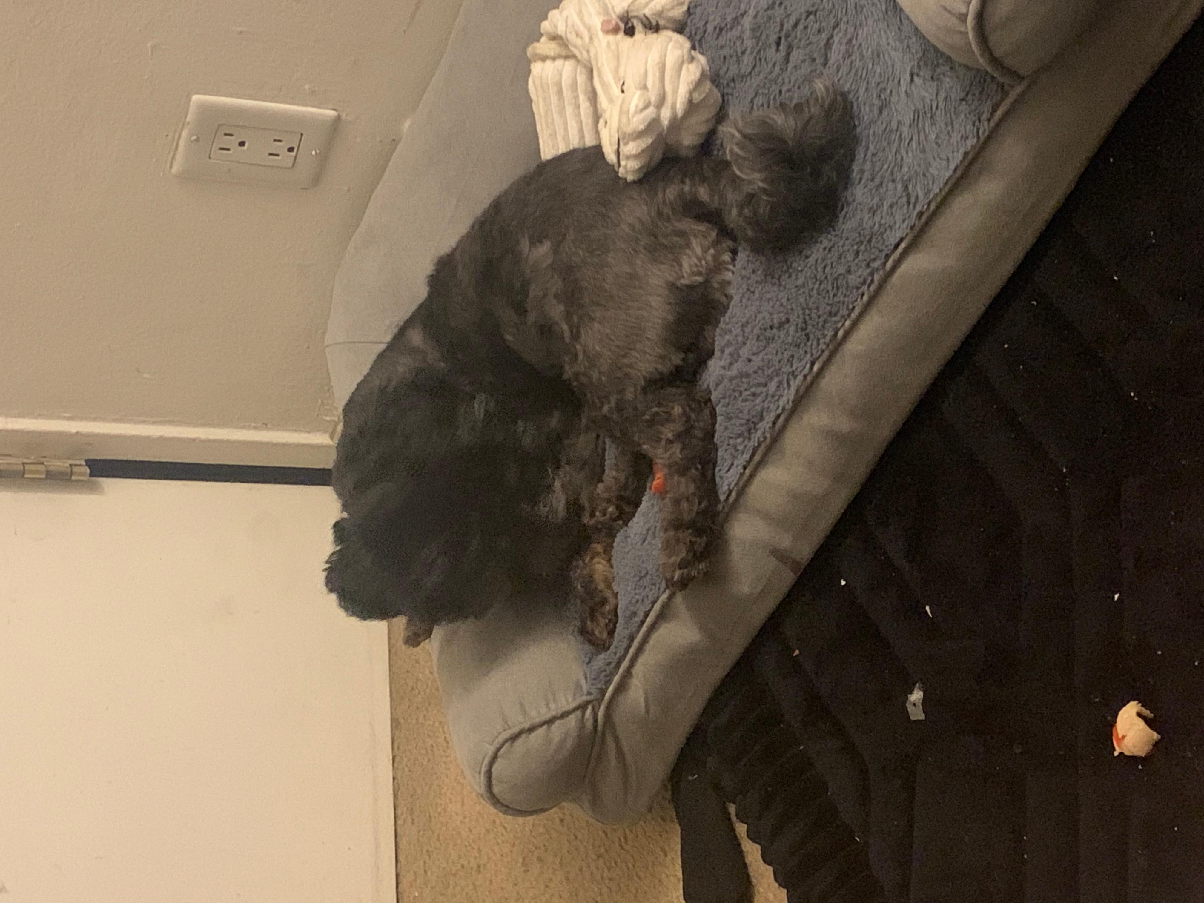 Question details sensitive content