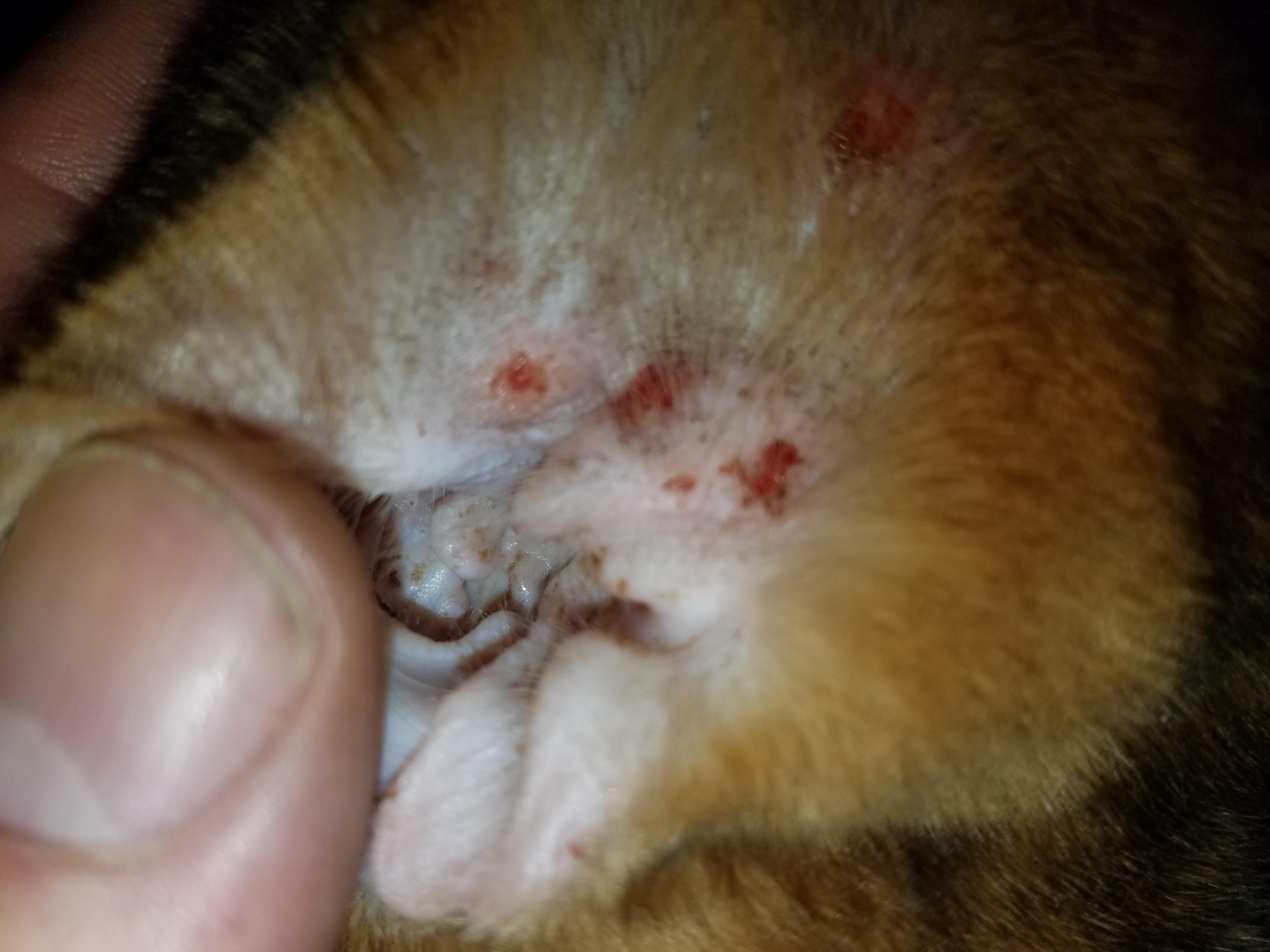 Question details sensitive content