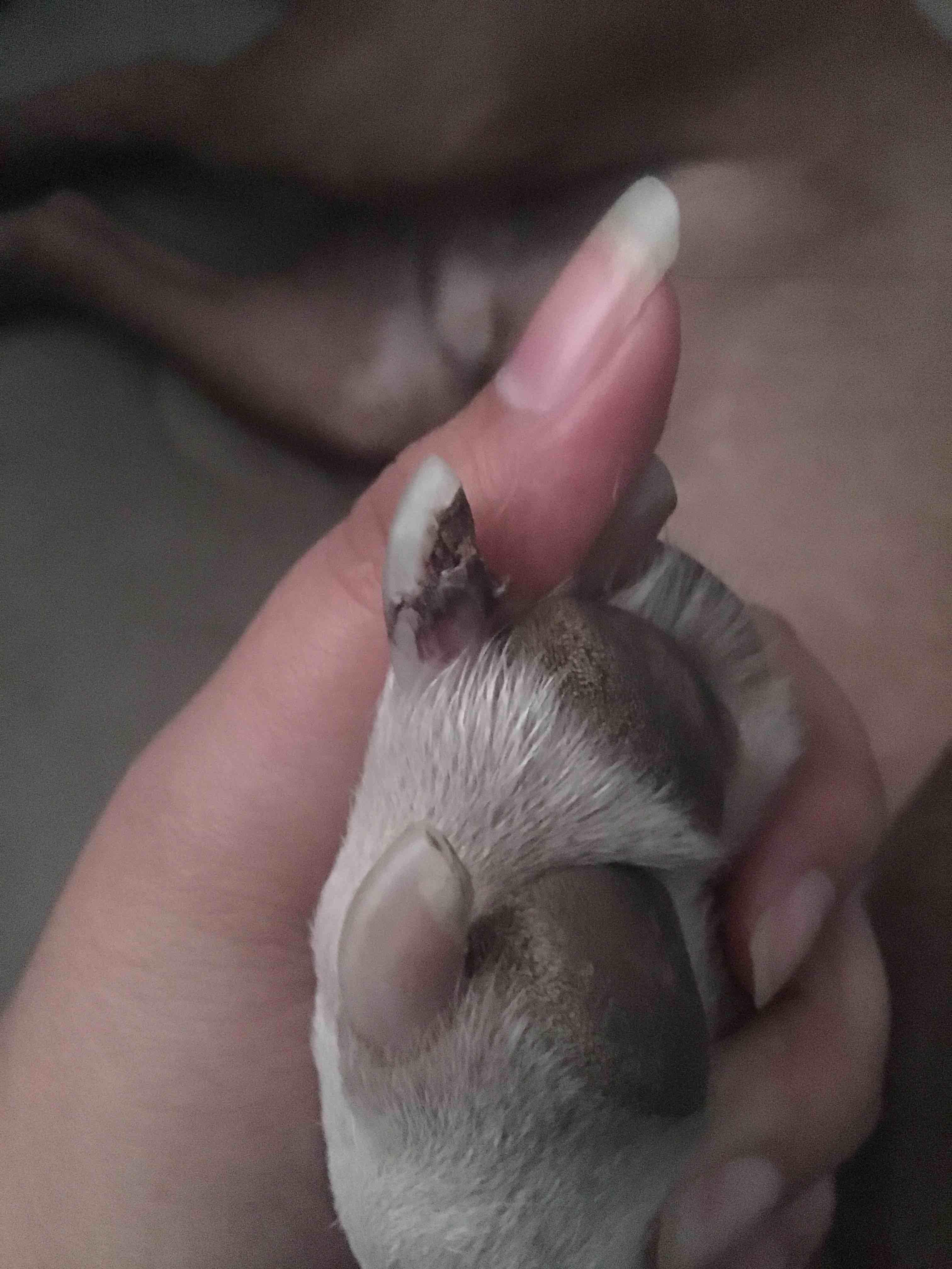 Question details sensitive content