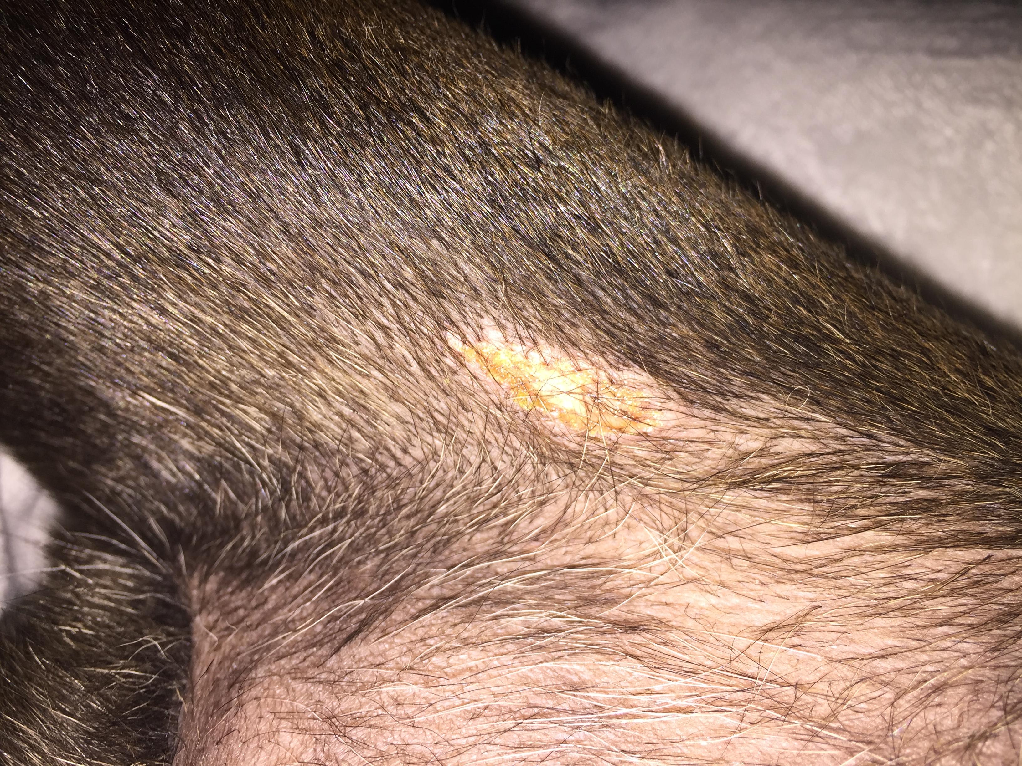 Question details sensitive content