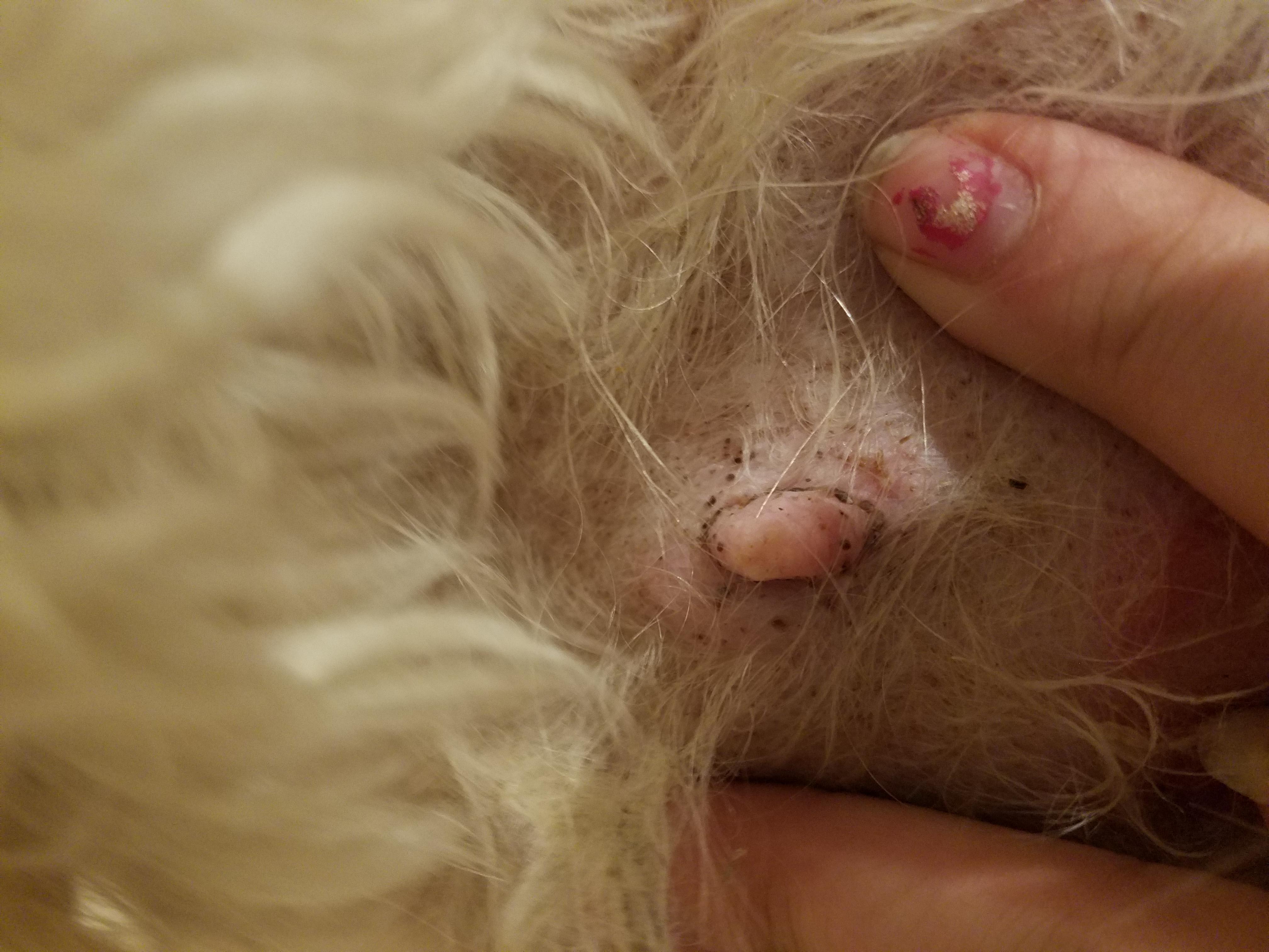 Question details sensitive content