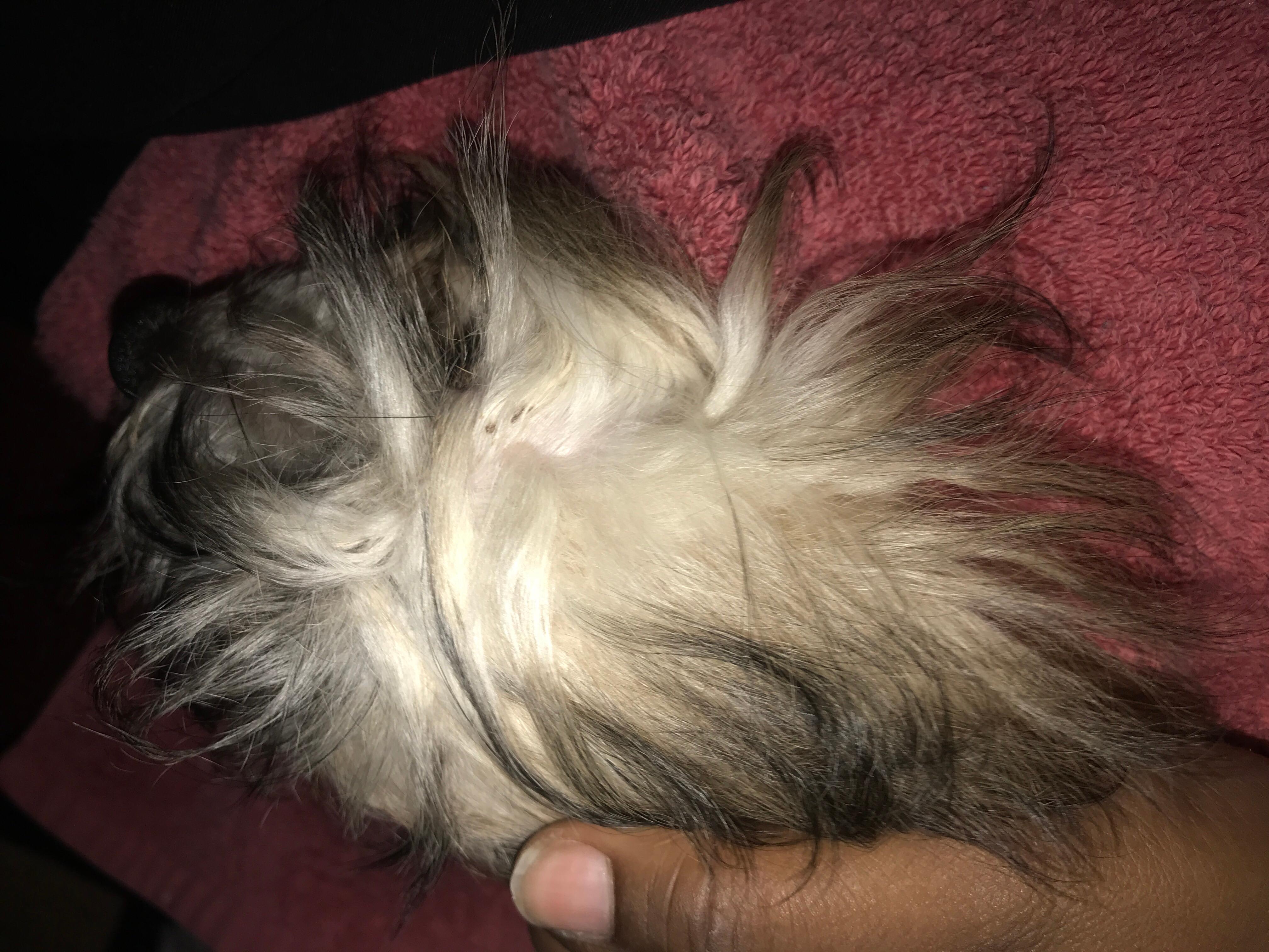 Question details sensitive content