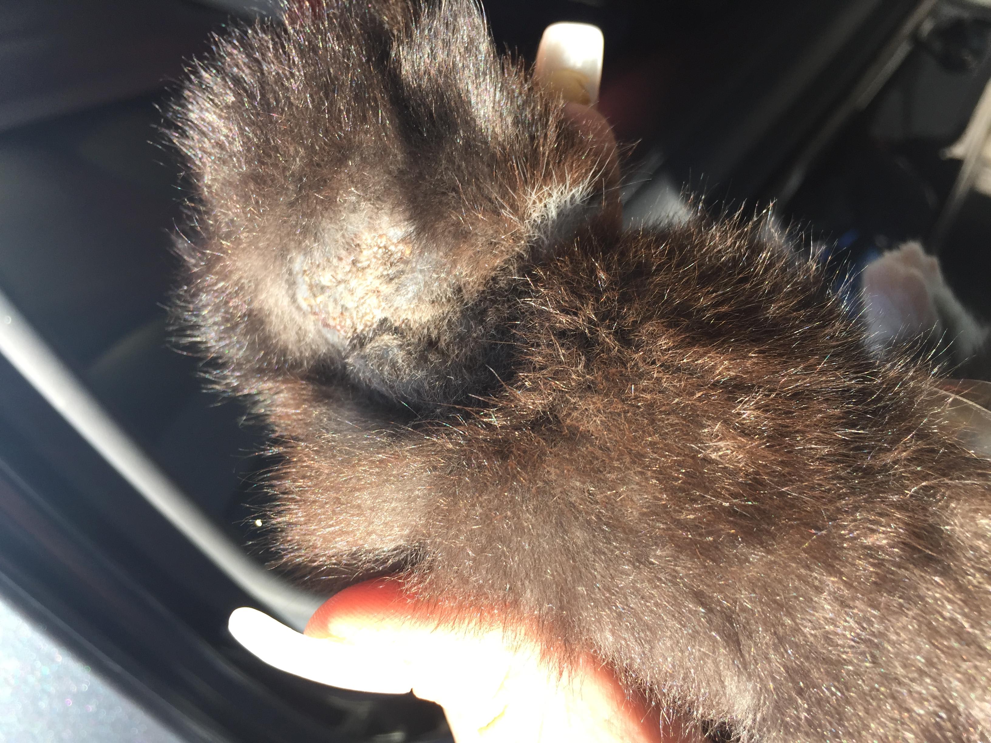 Question details sensitive content