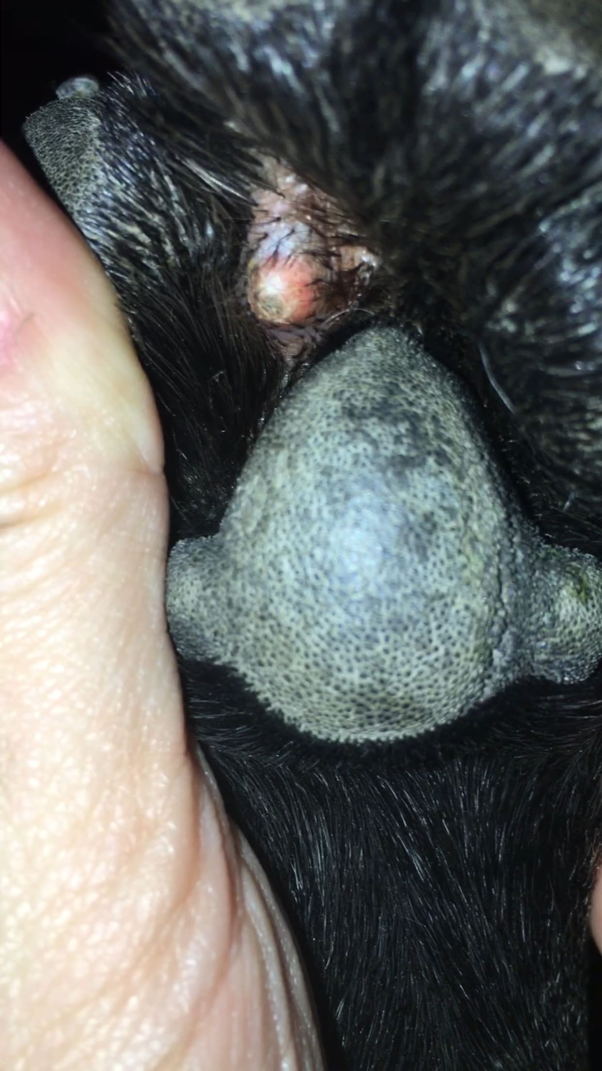 Question details sensitive content