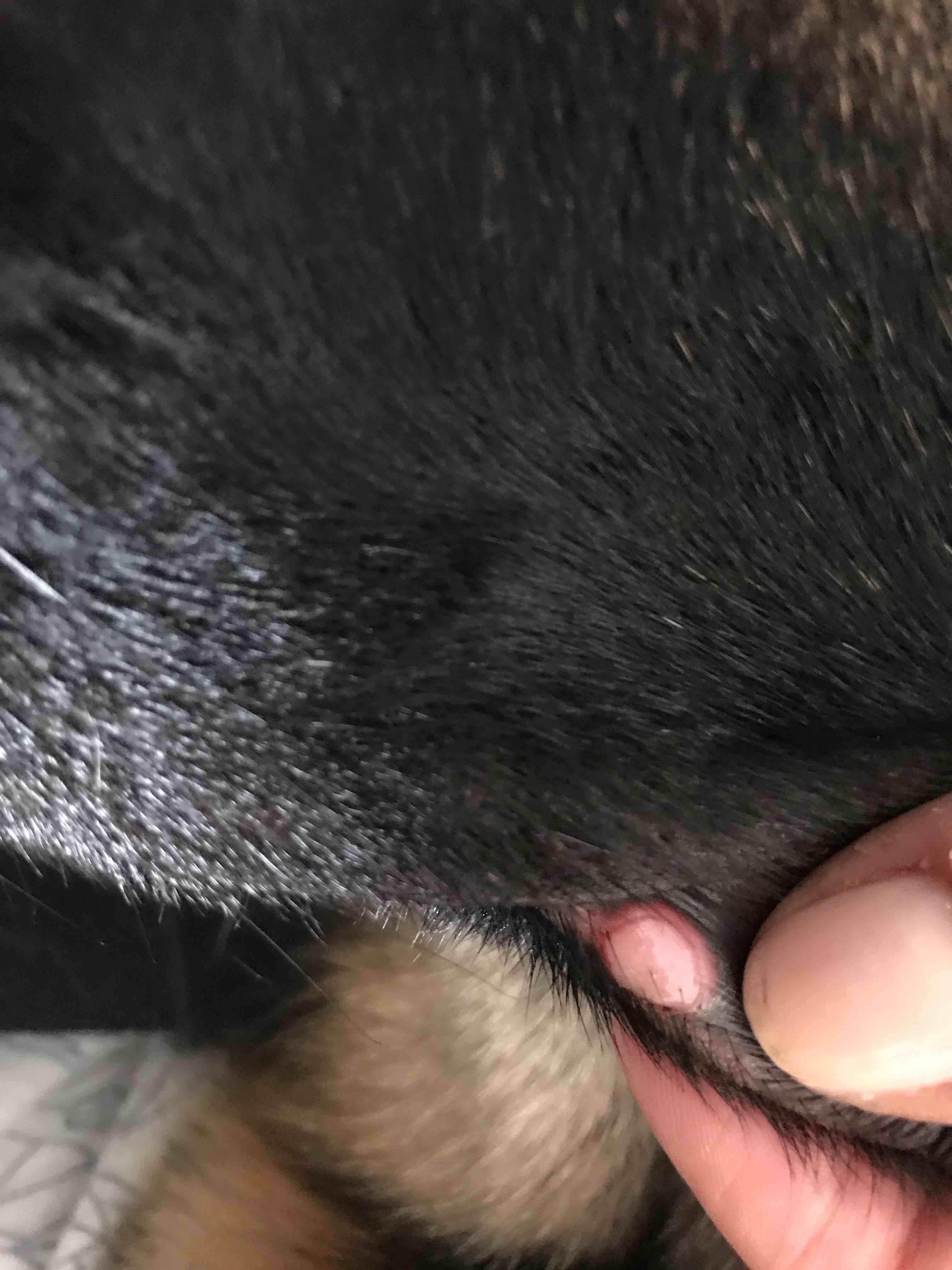 Question details sensitive content