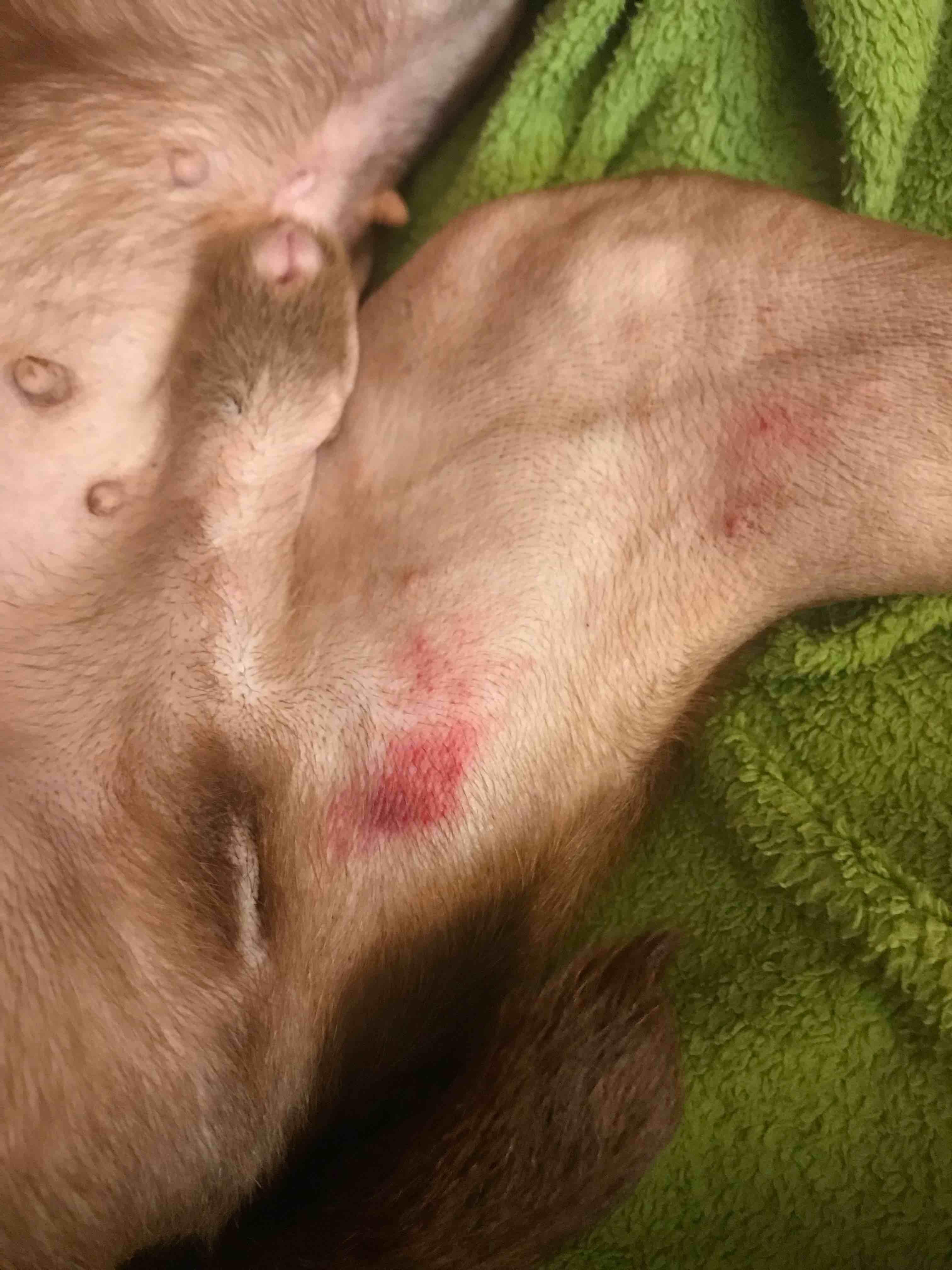 Question details sensitive content