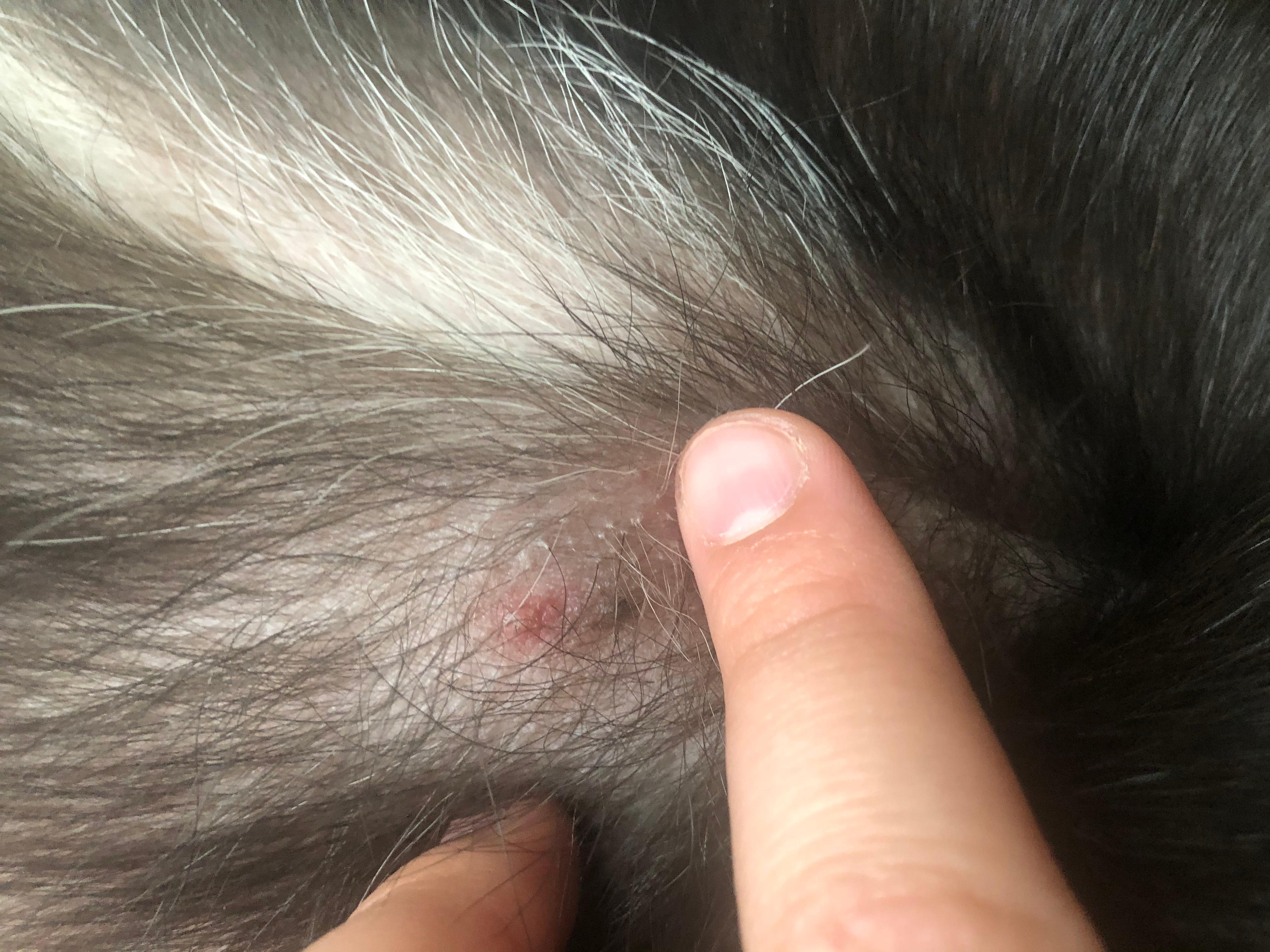 Question details sensitive content