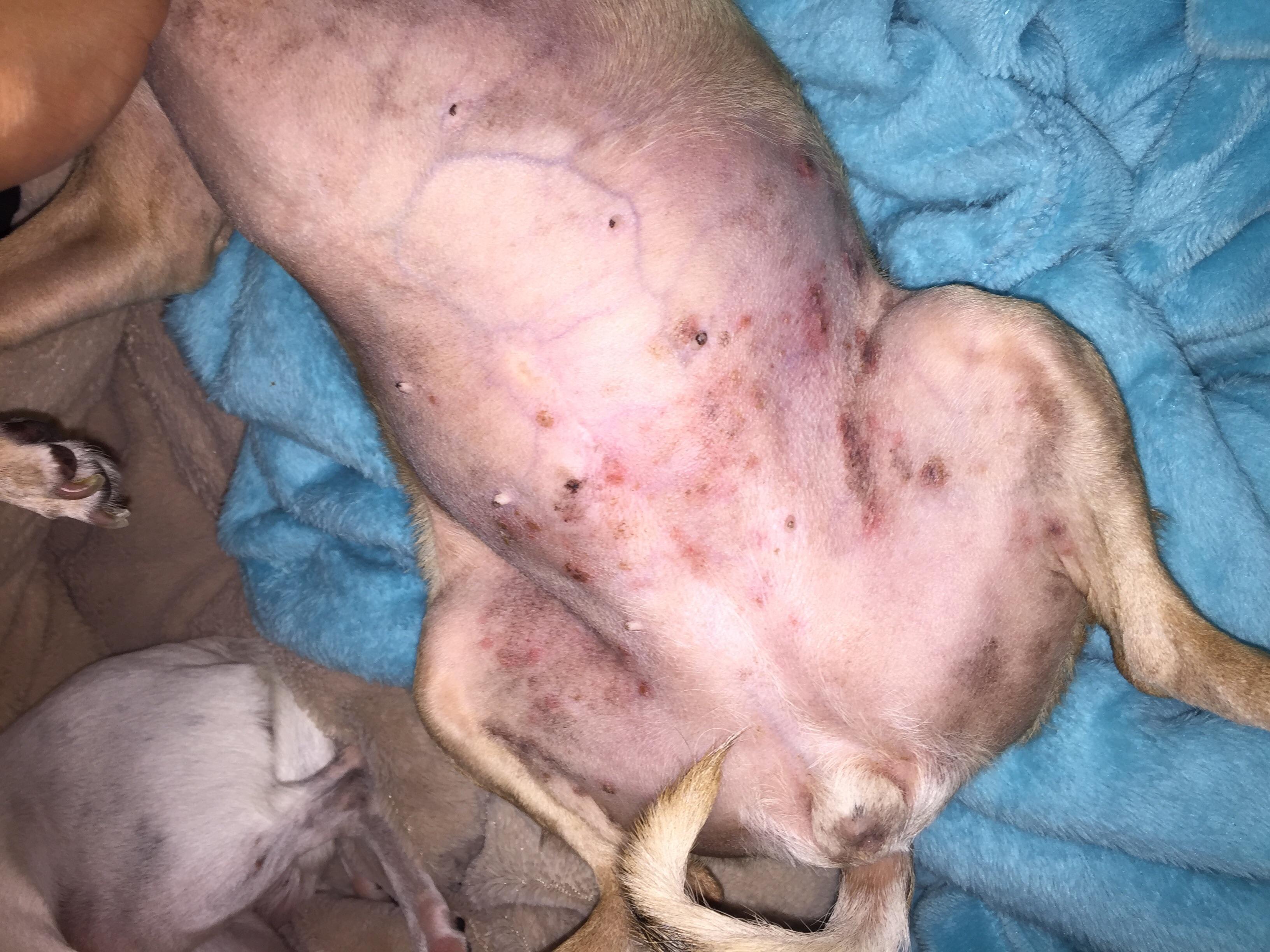 Question details sensitive content