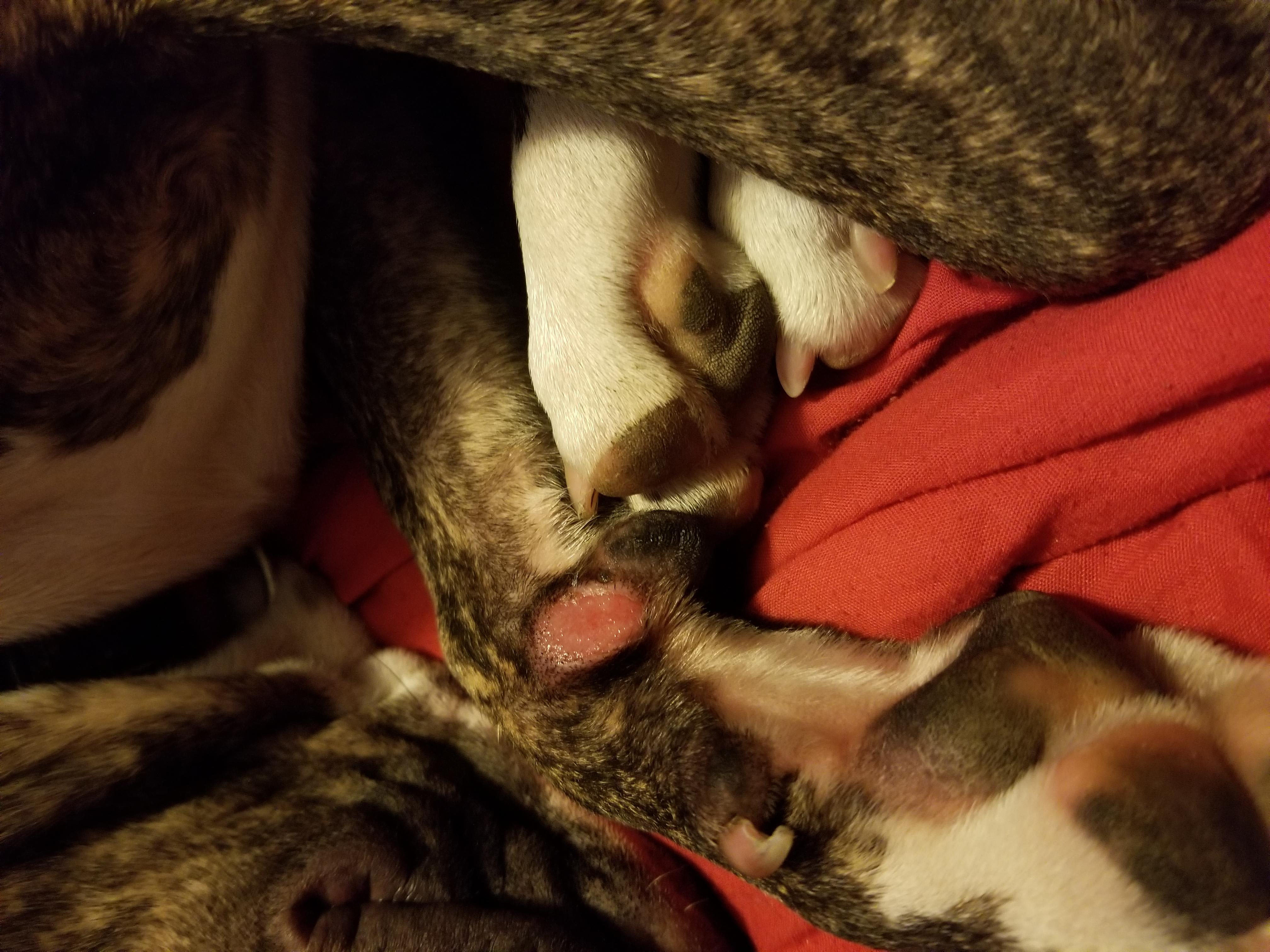 Question details sensitive content