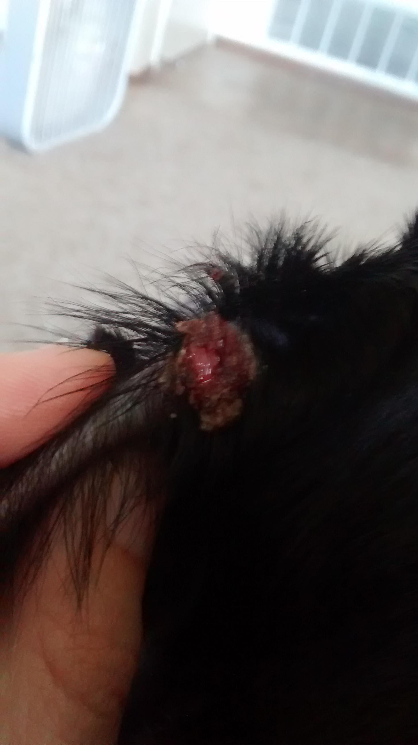 Question details sensitive content