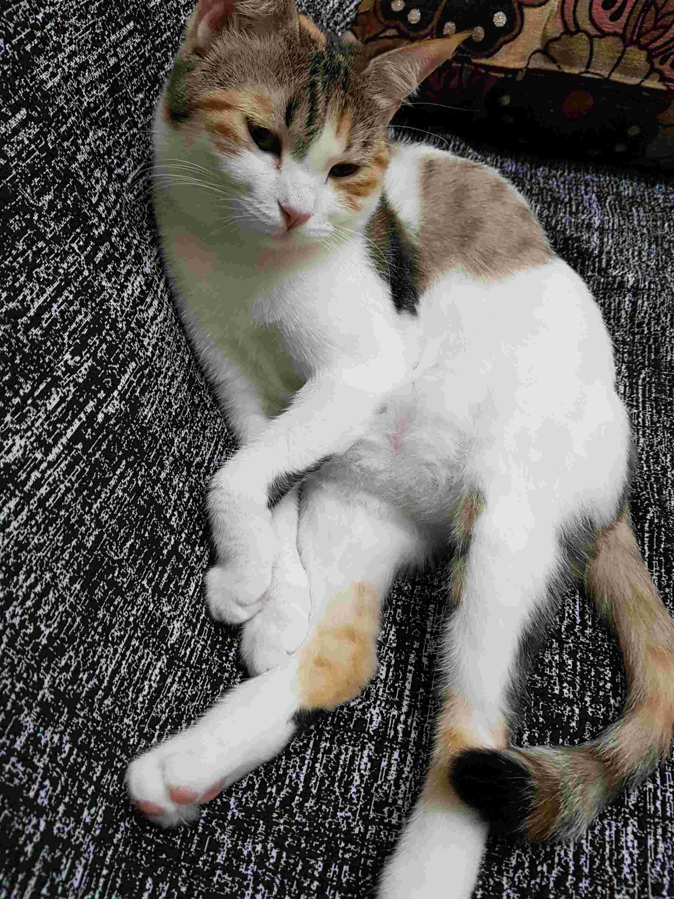 Question details sensitive content