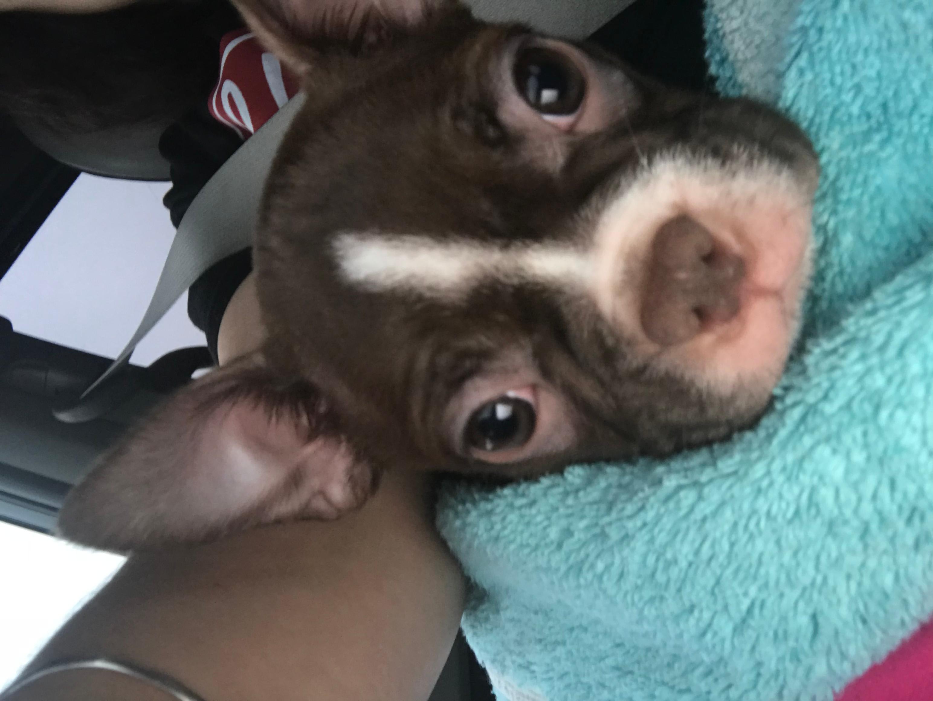 Question details sensitive content