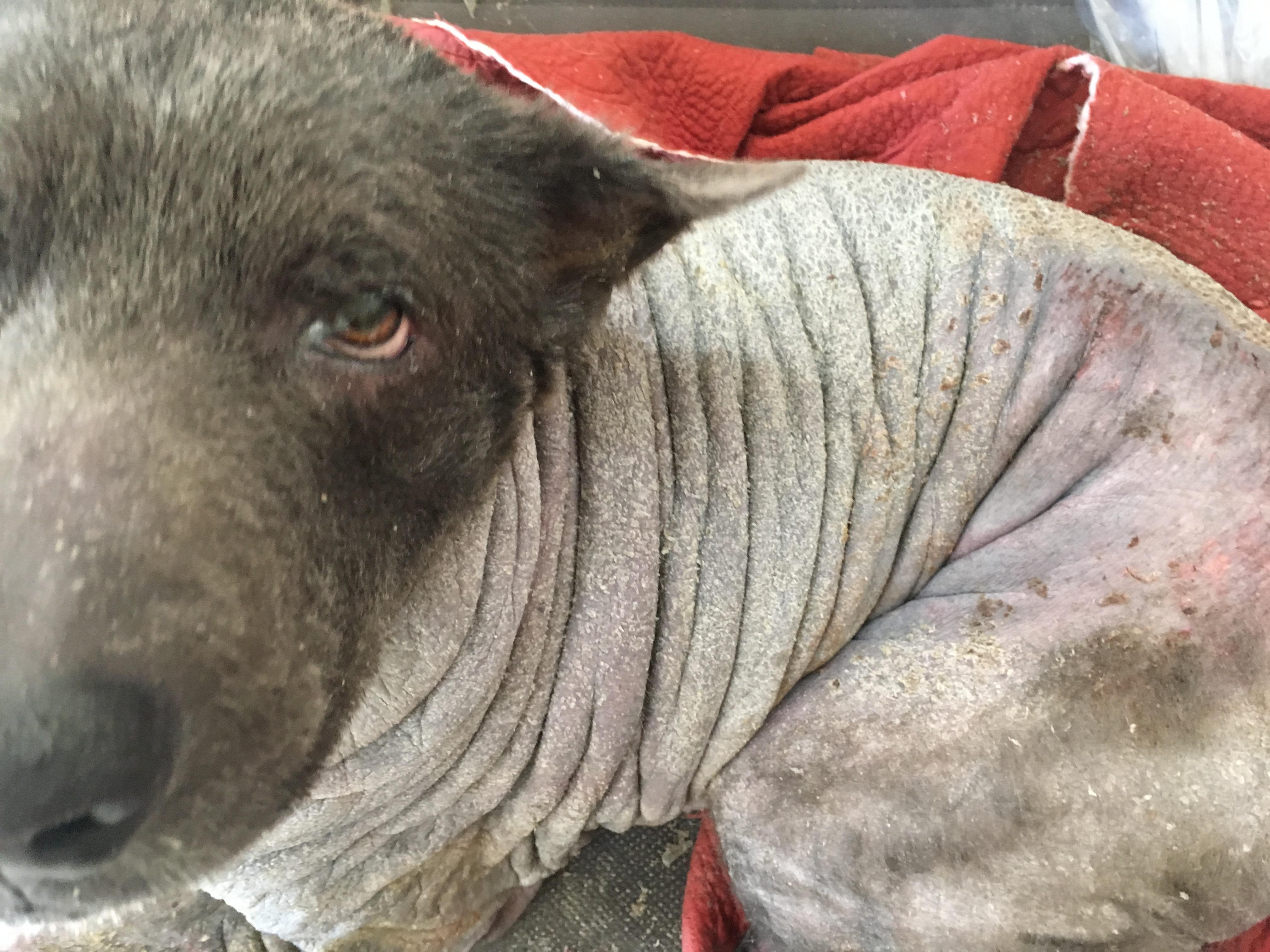 Question details sensitive content