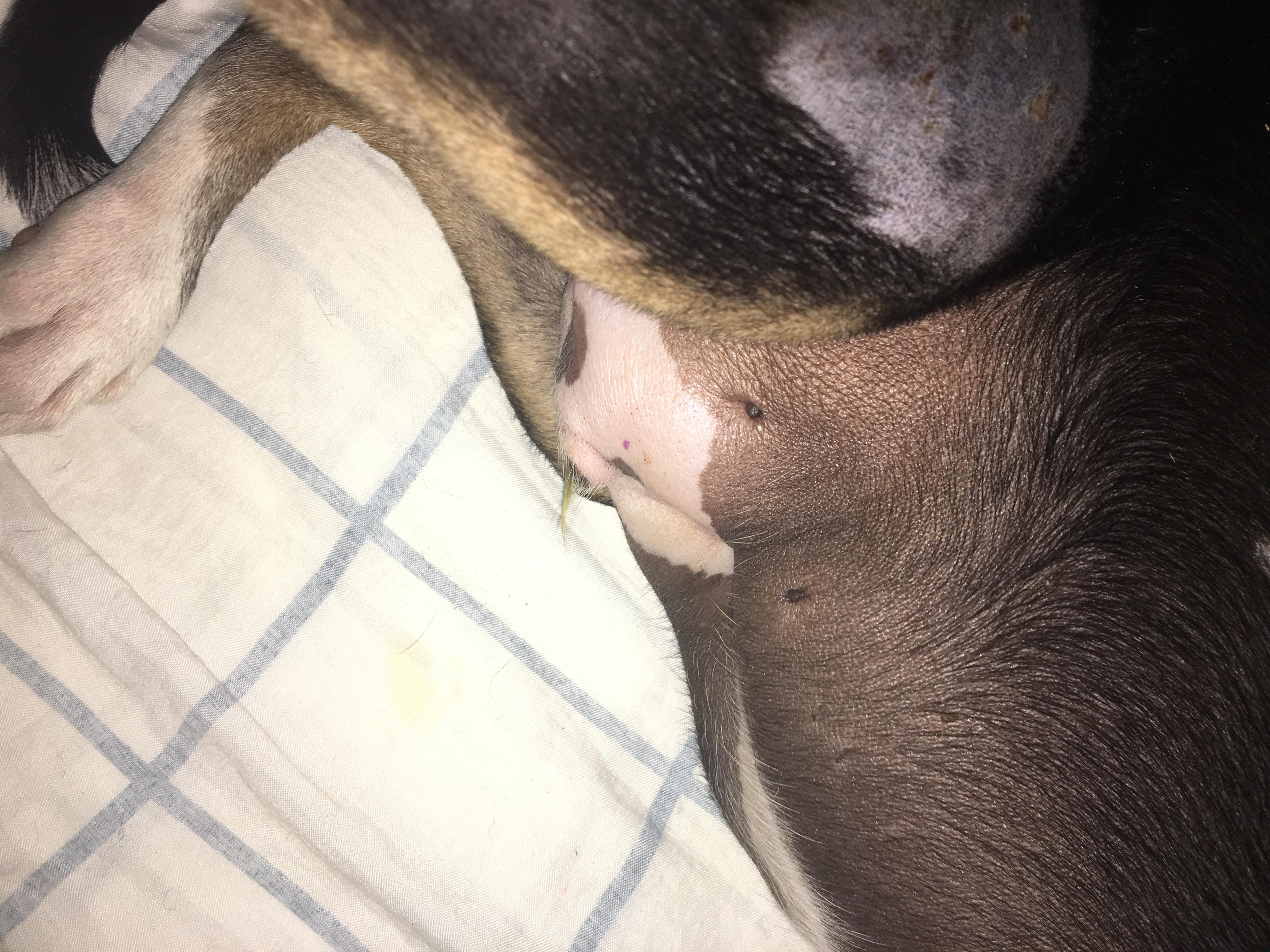 Question details sensitive content