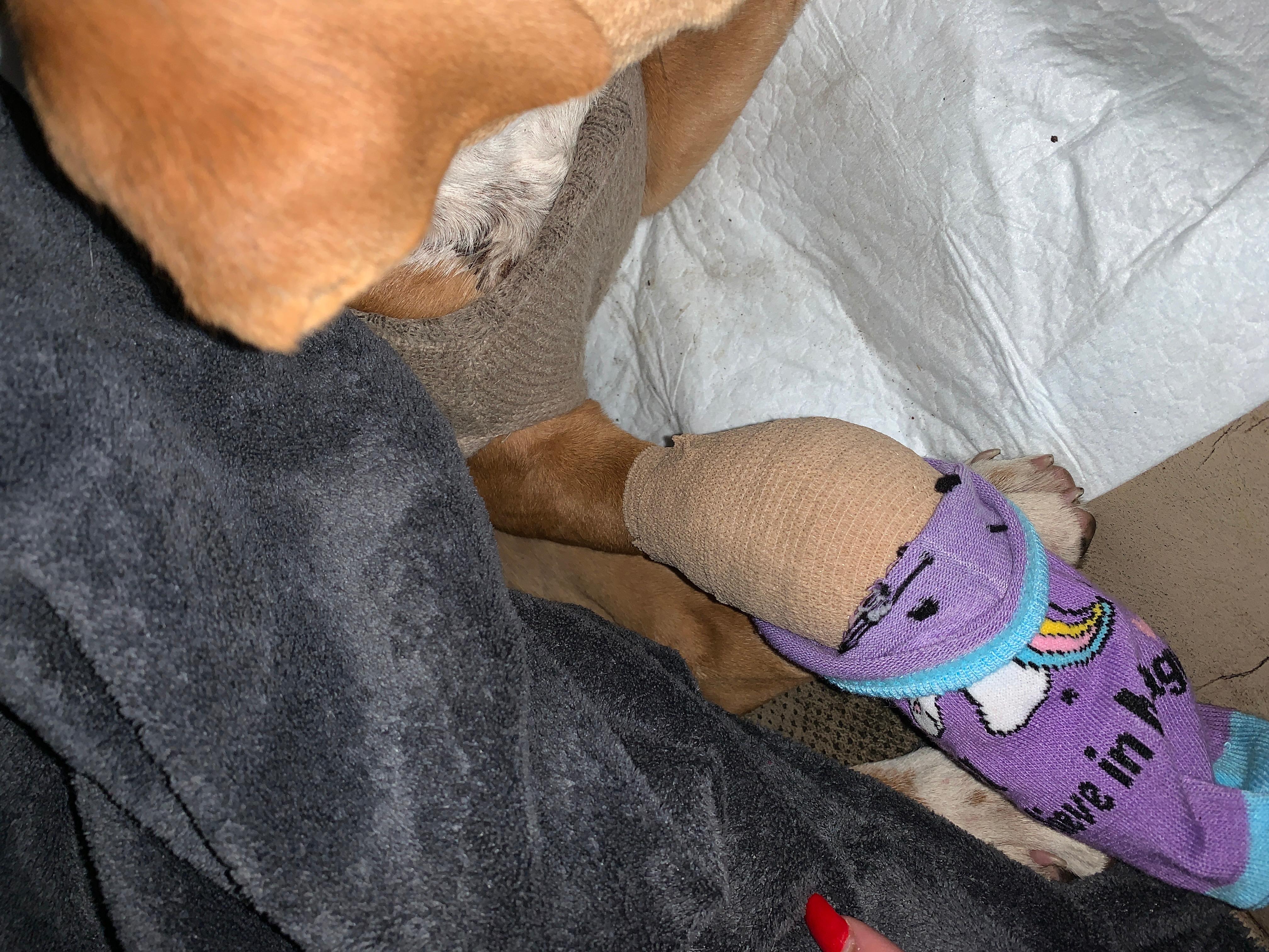 Question details sensitive content