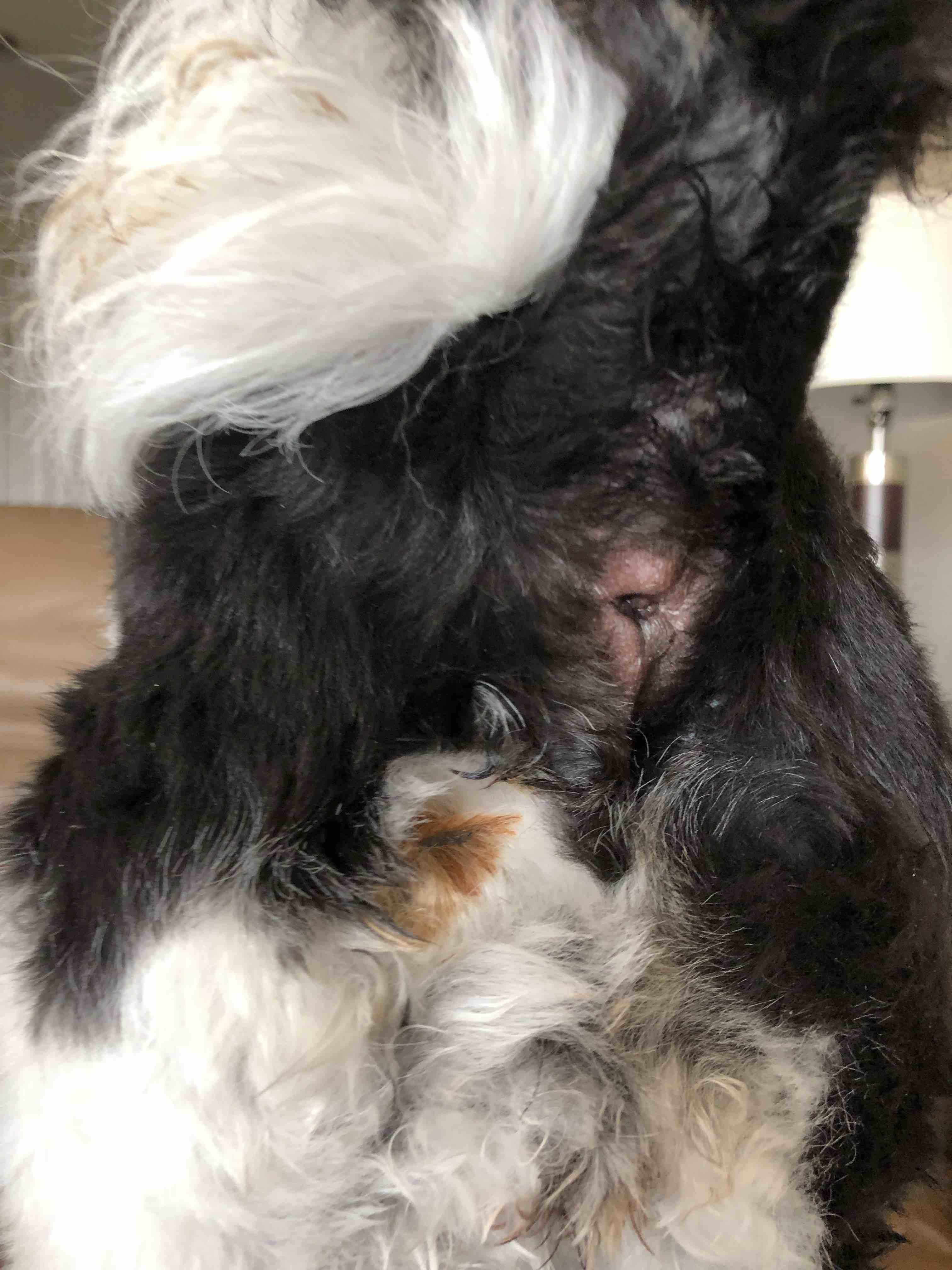 Question details sensitive content