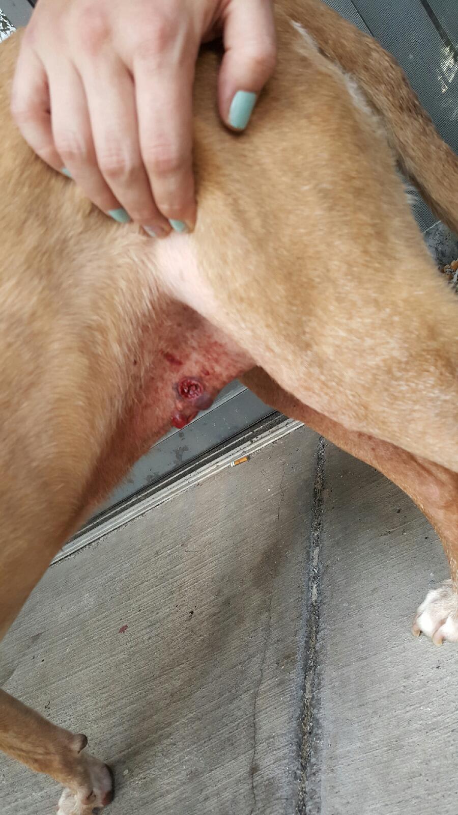 Question details sensitive content