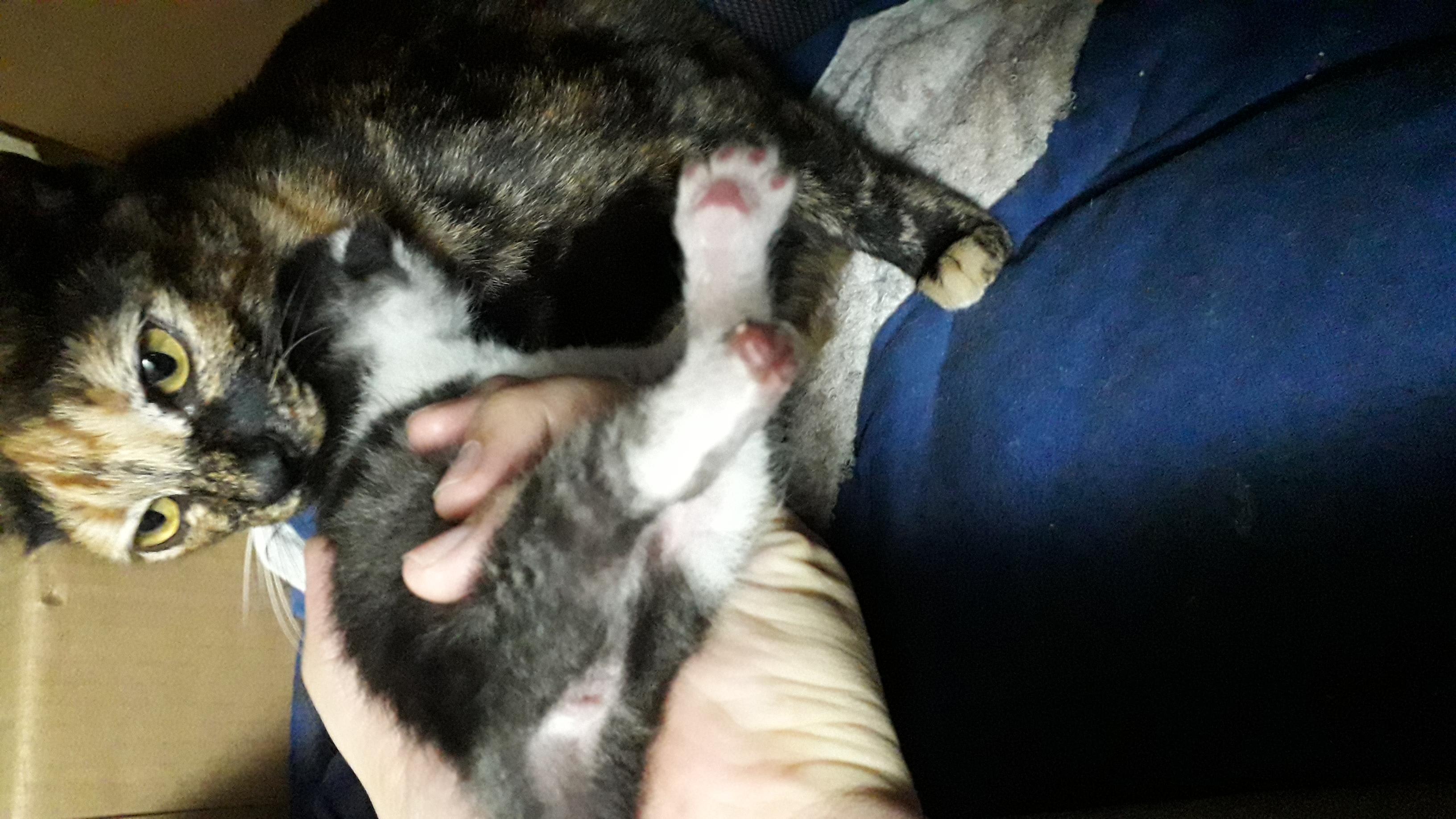 Question details sensitive content