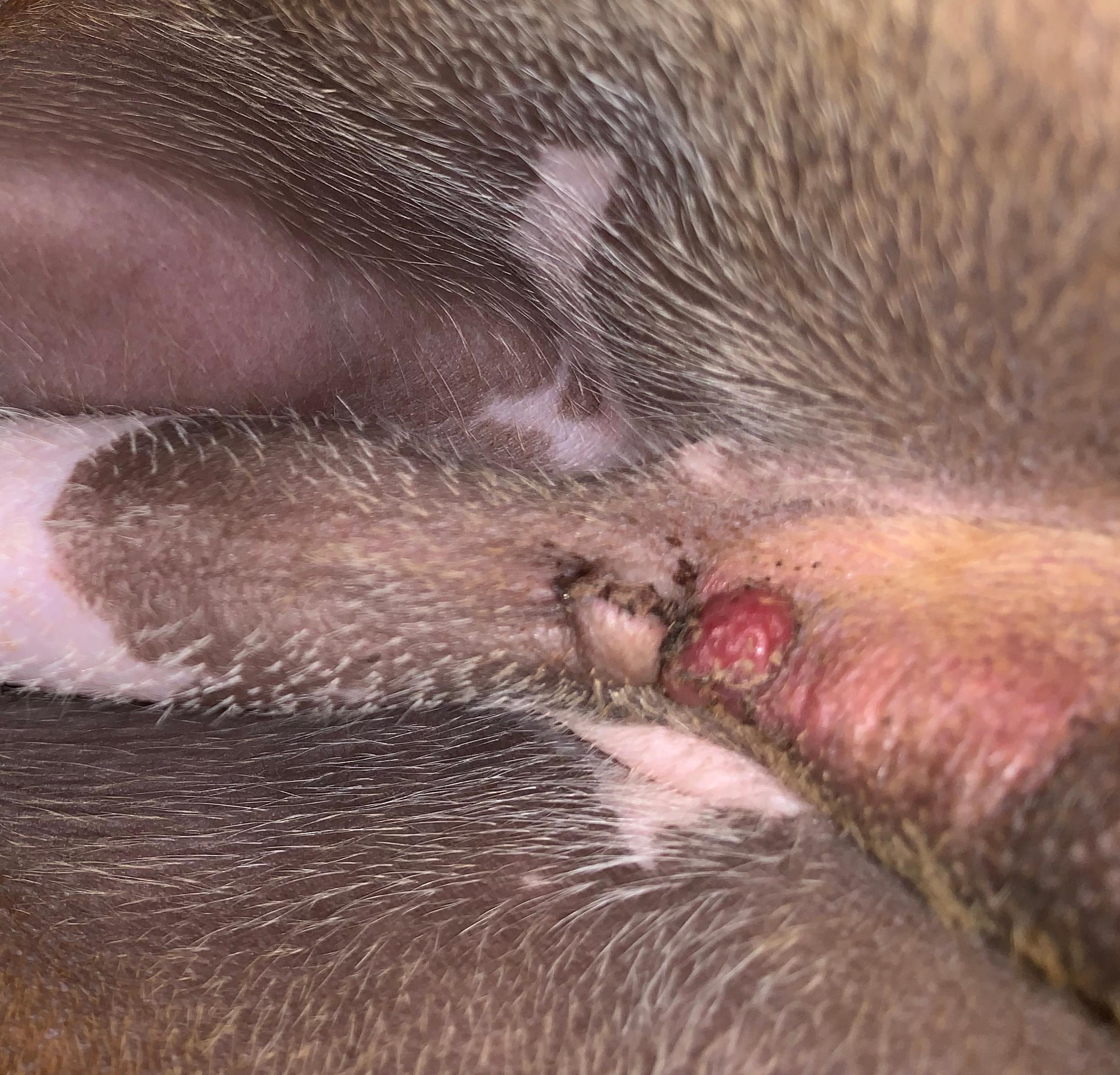 Question details sensitive content