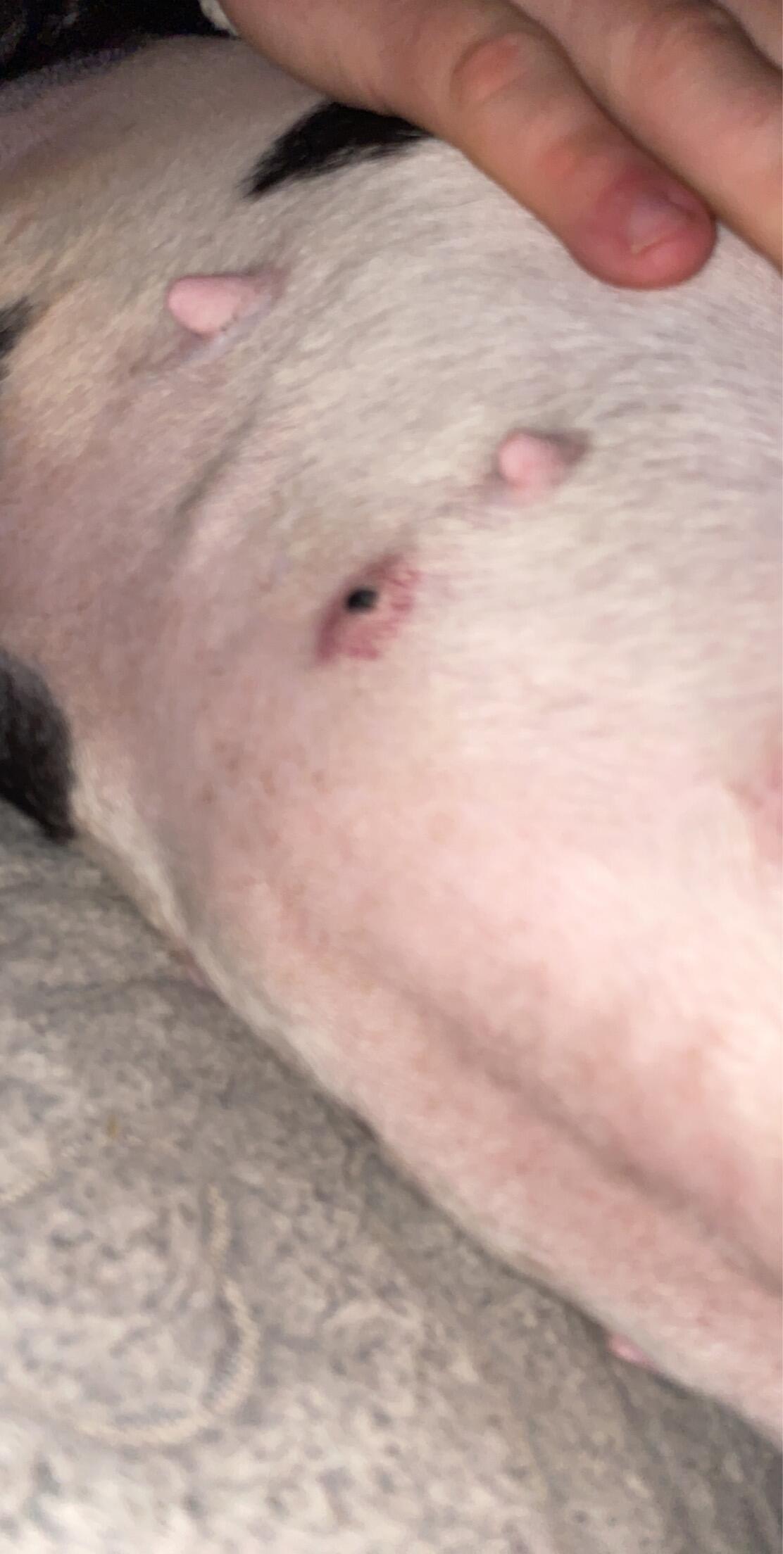 Question details sensitive content