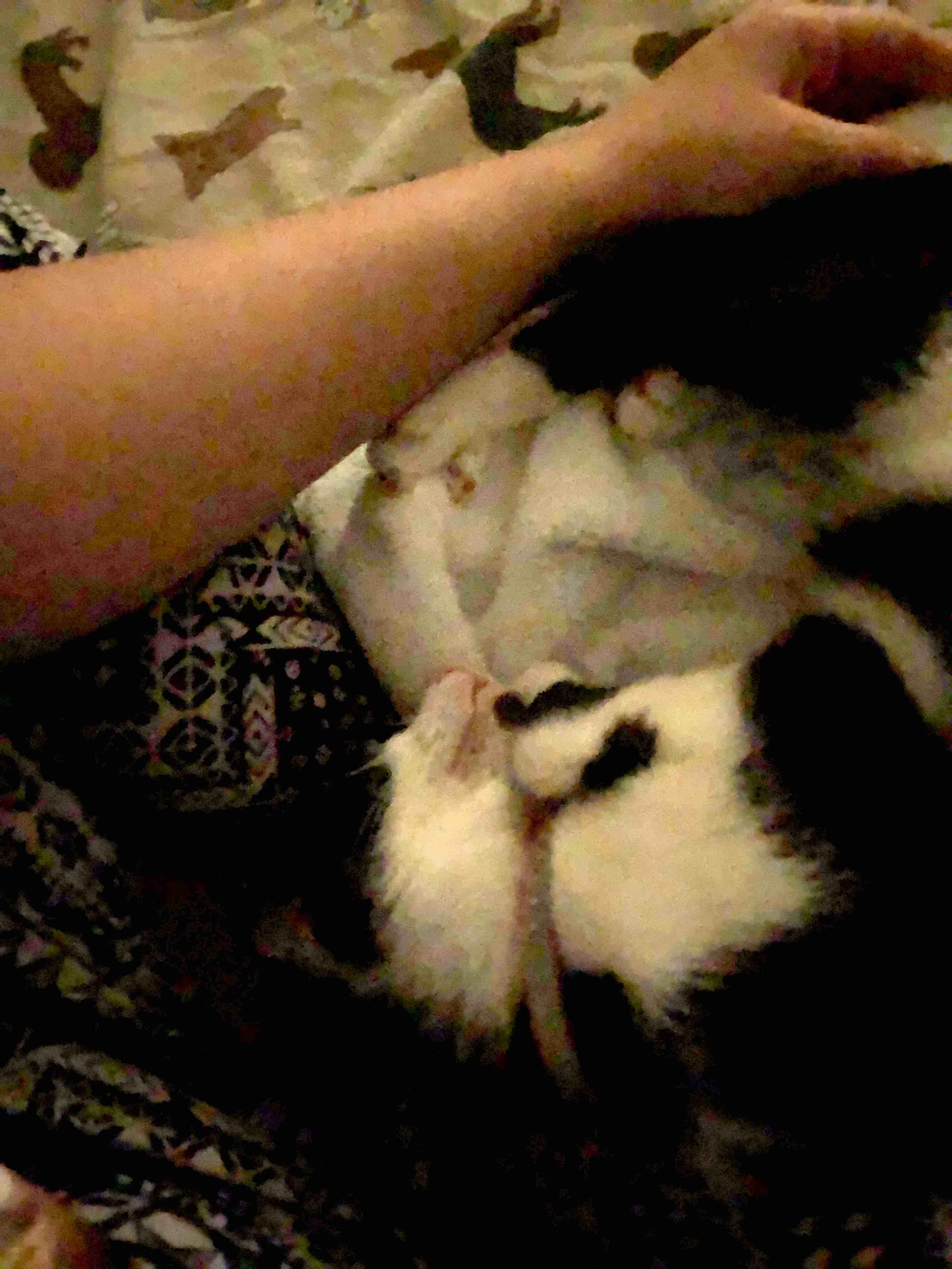 Question details sensitive content