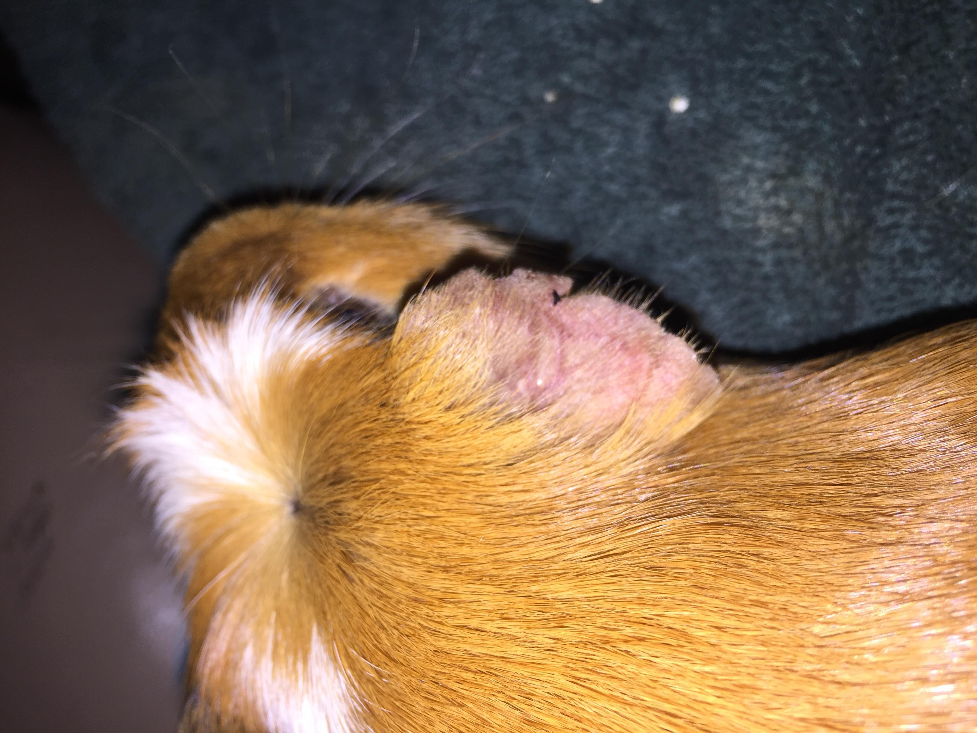 Question details sensitive content