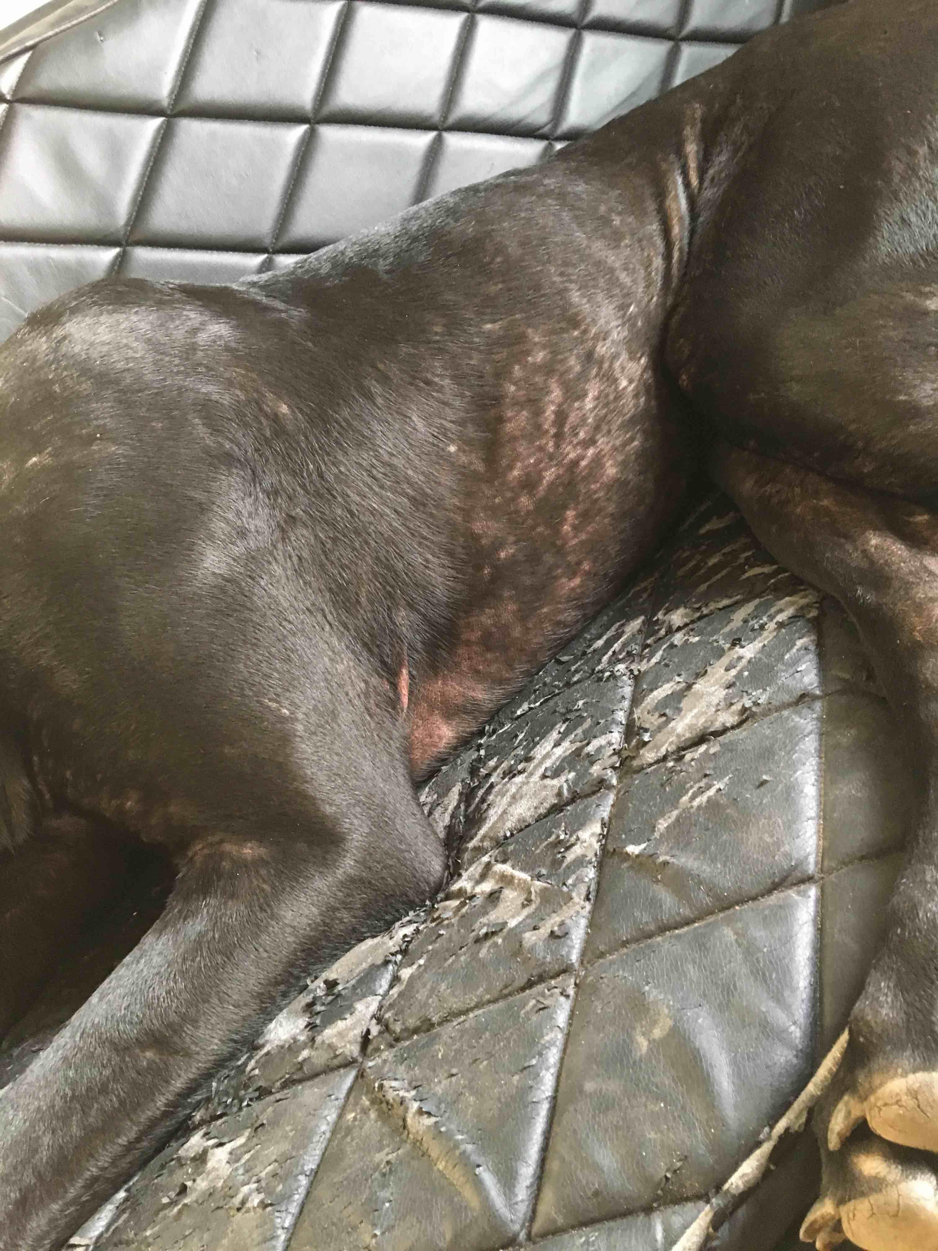 Question details sensitive content